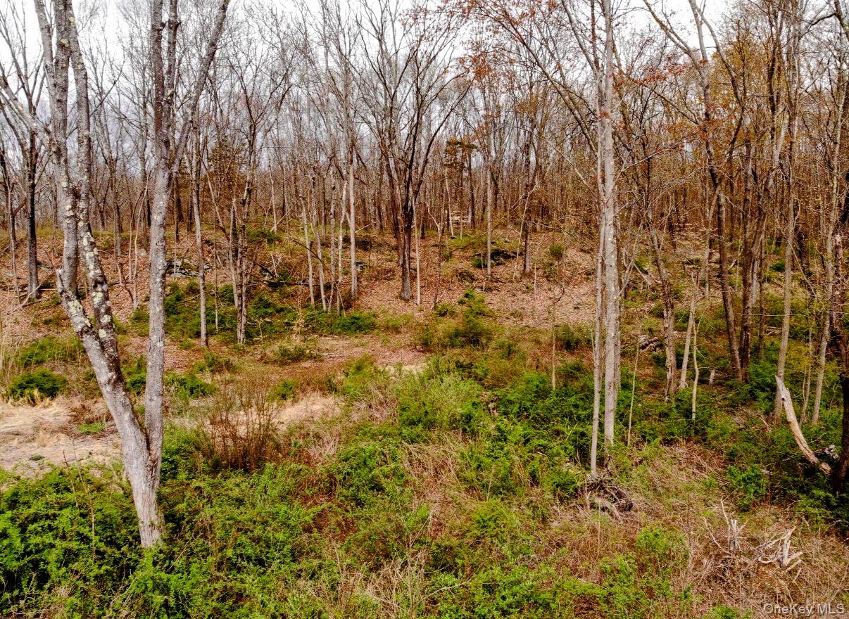 Wappinger Farm Estates, Lot 10, Robinson Lane, Wappingers Falls, NY 12590