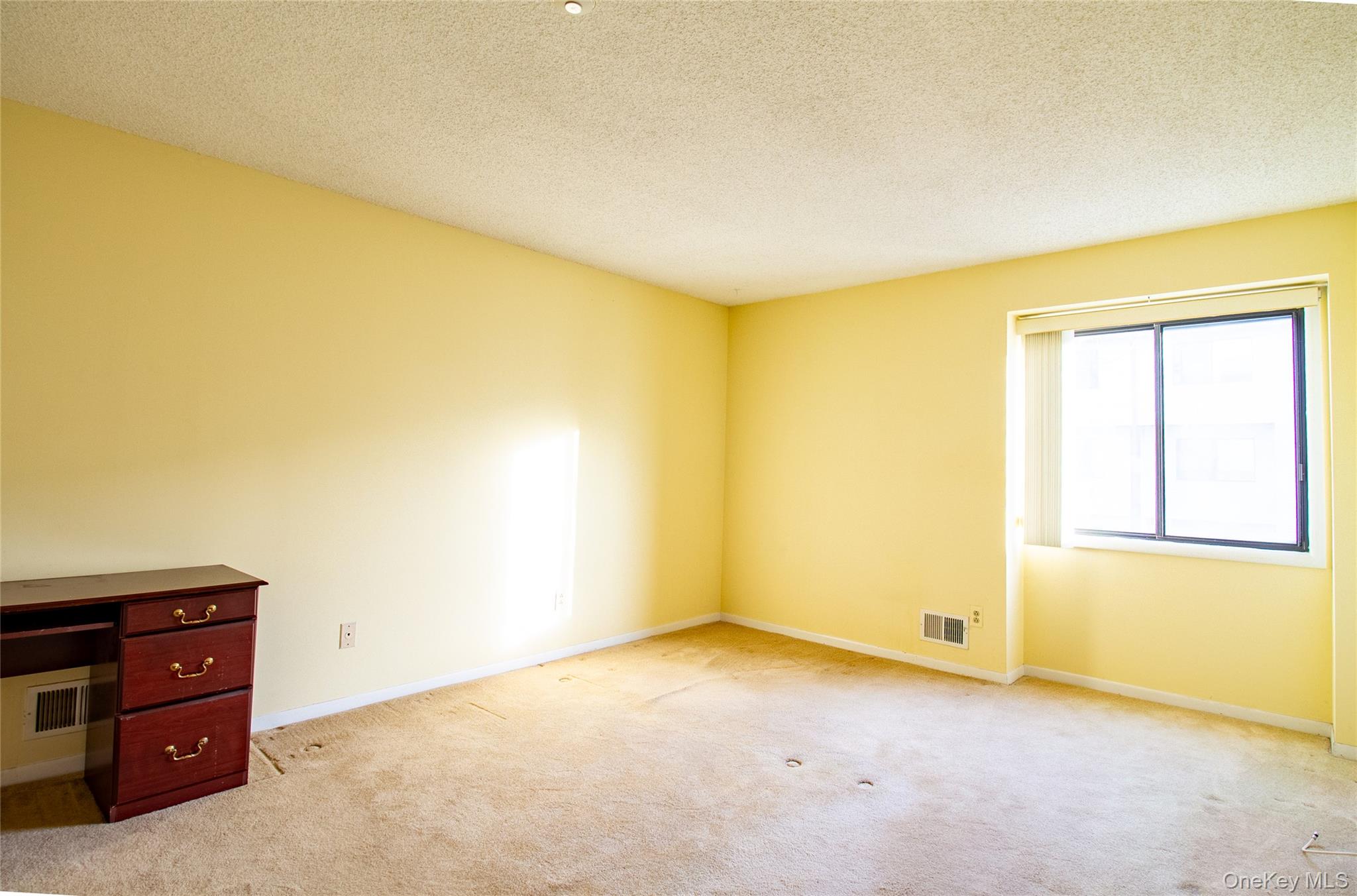 38 Chester Lane, Nanuet, NY 10954