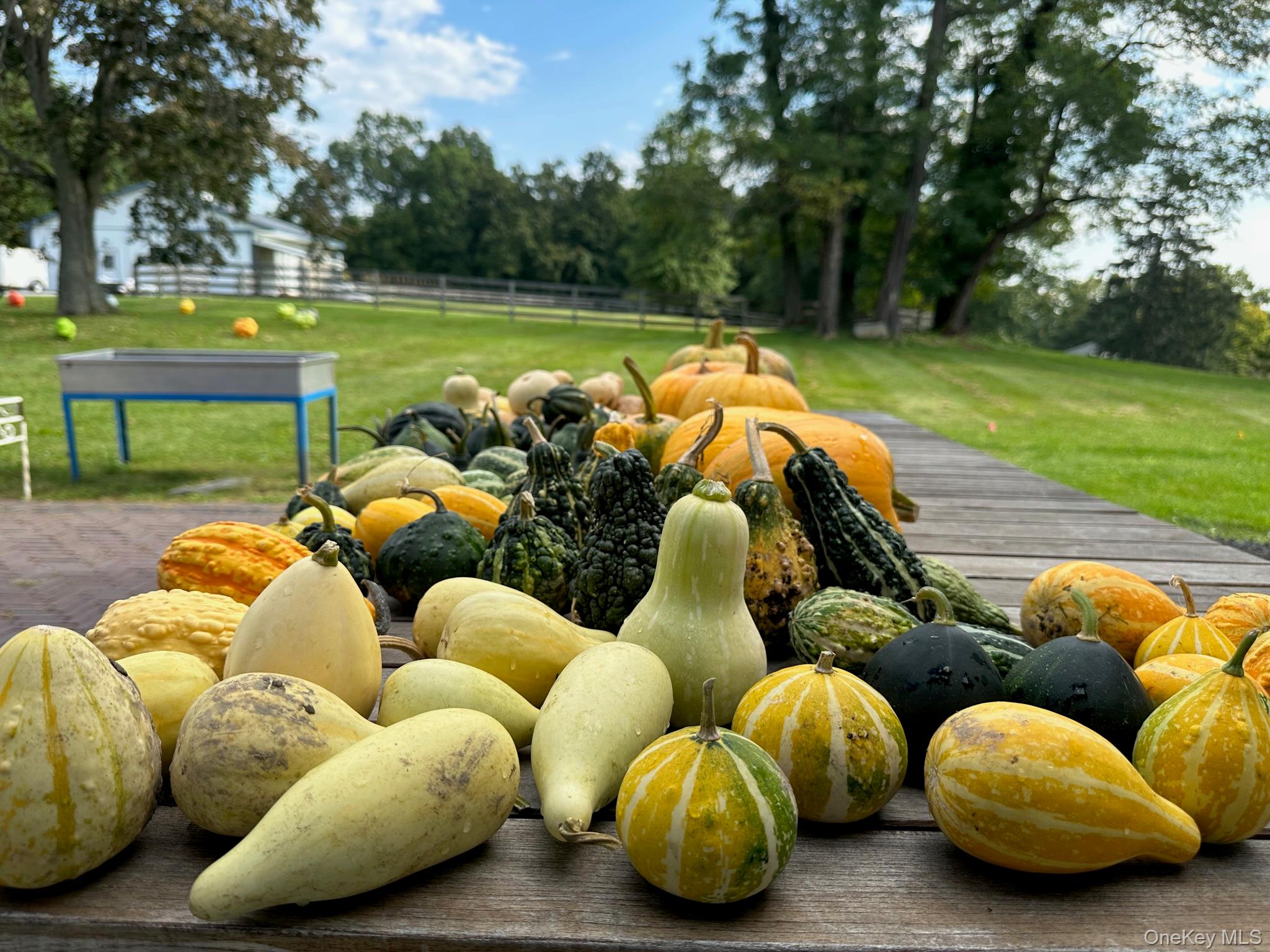 2948 State Route 94, Chester, NY 10918