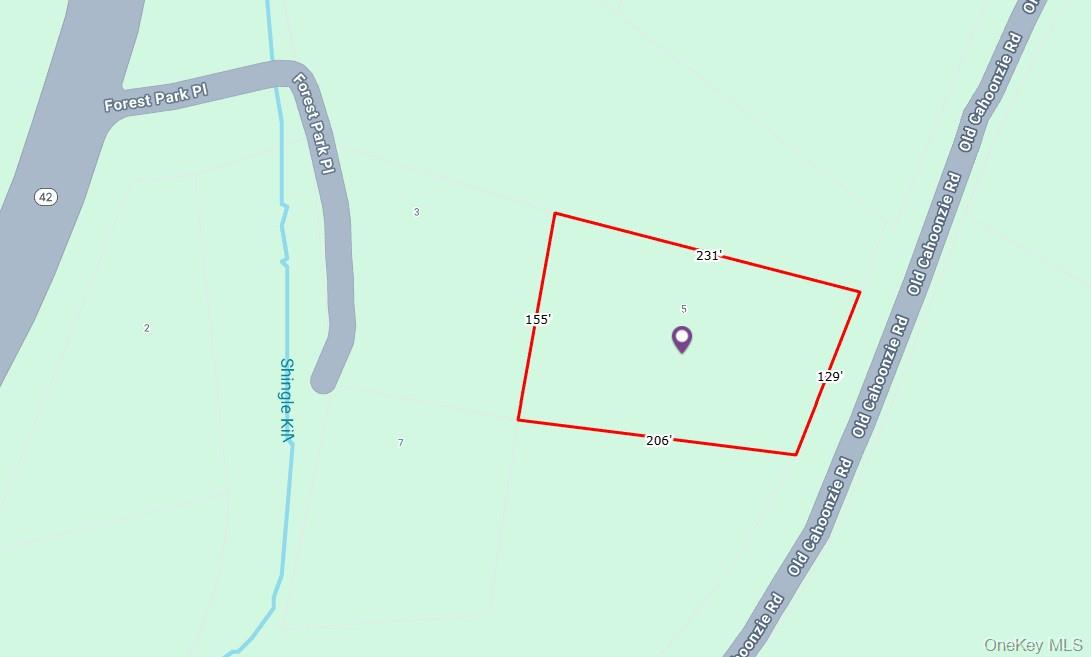 2 Forest Park Place, Sparrowbush, NY 12780