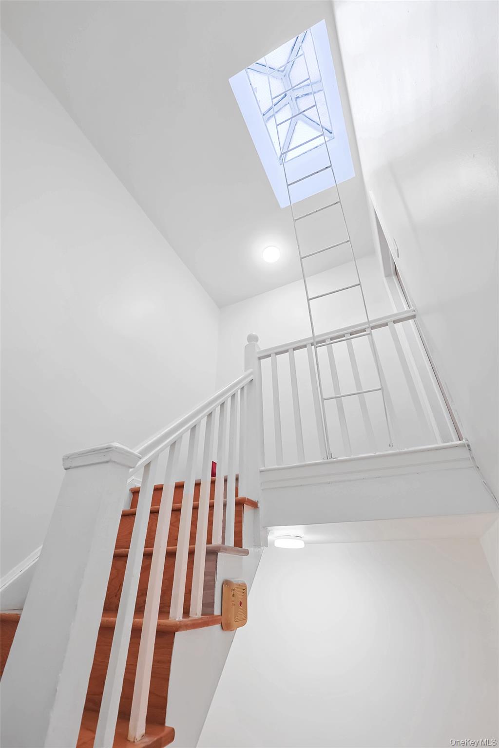 8010 165th Street, Flushing, NY 11432