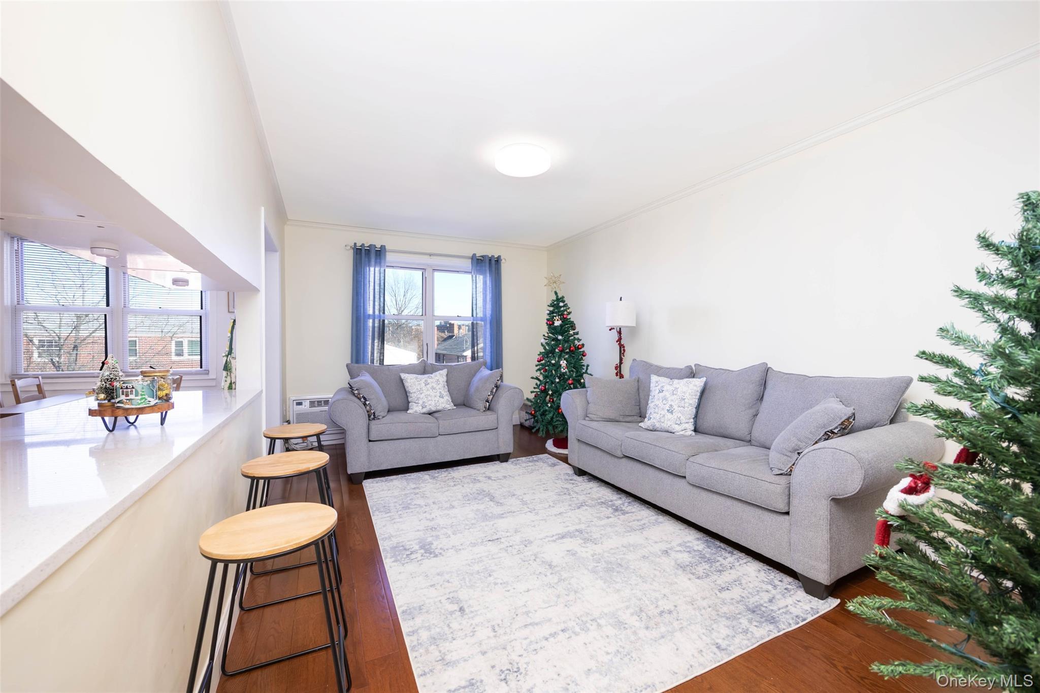 8010 165th Street, Flushing, NY 11432