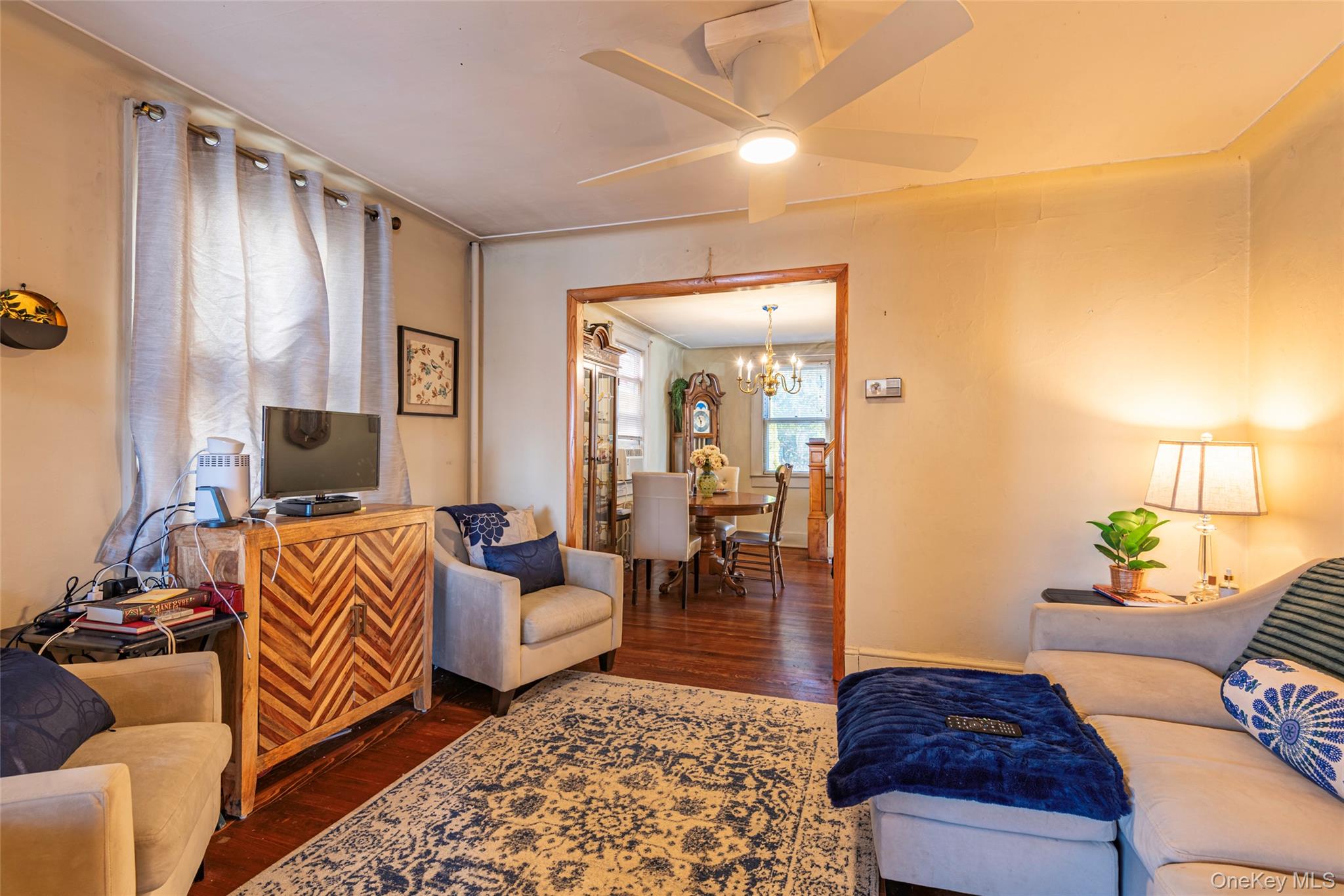 155 McKee Street, Floral Park, NY 11001