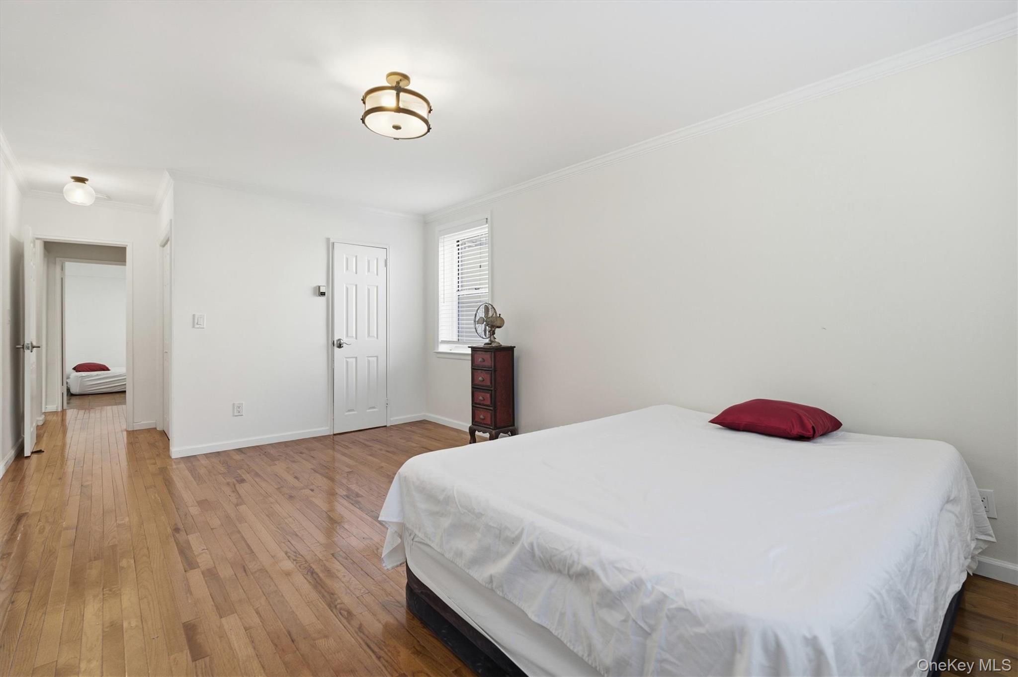 25 Chapel Pl. # 1B, Great Neck, NY 11021