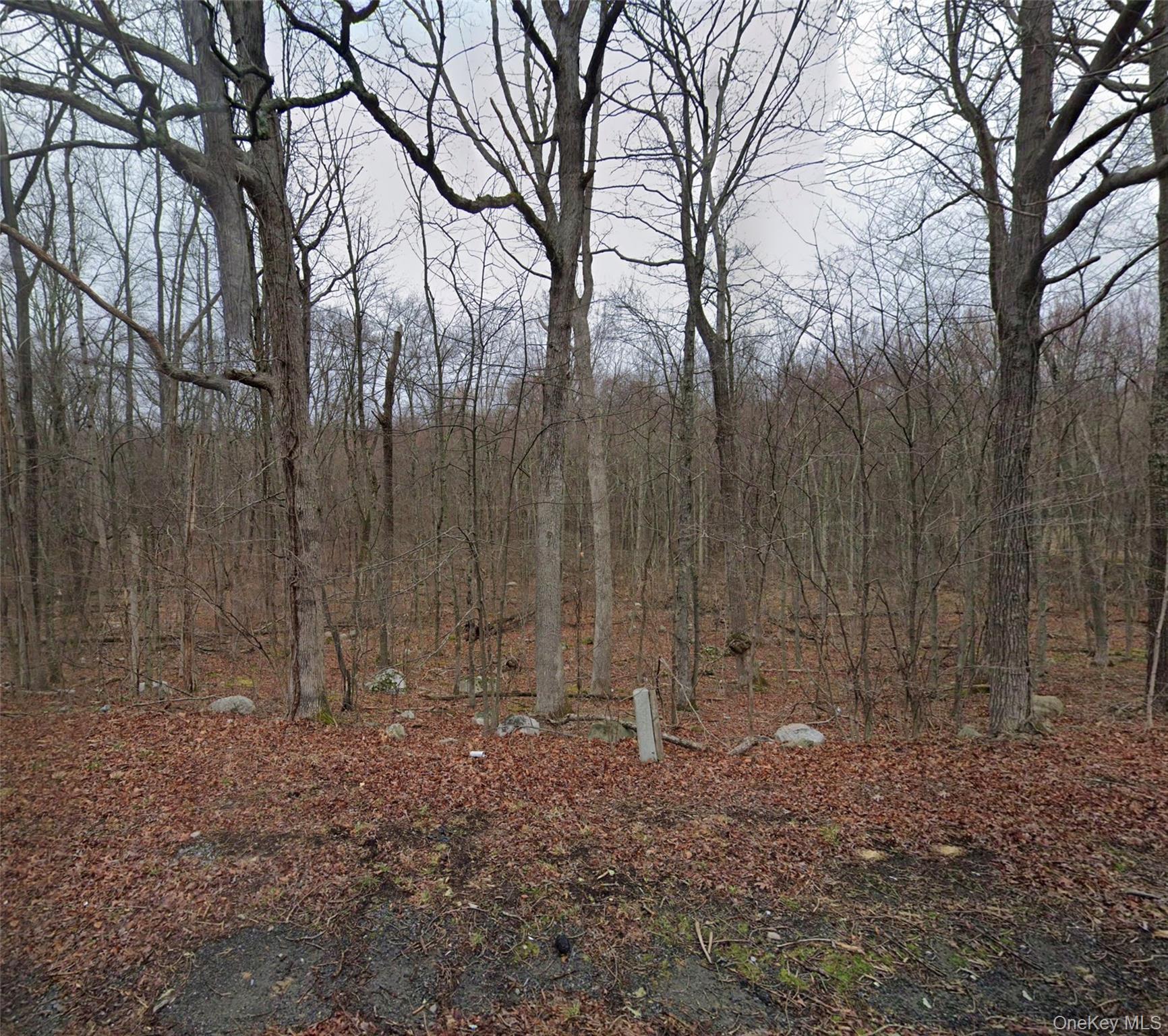 Cr-49, Middletown, NY 10940