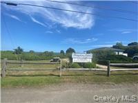65 A Little Pine Lane, East Quogue, NY 11942