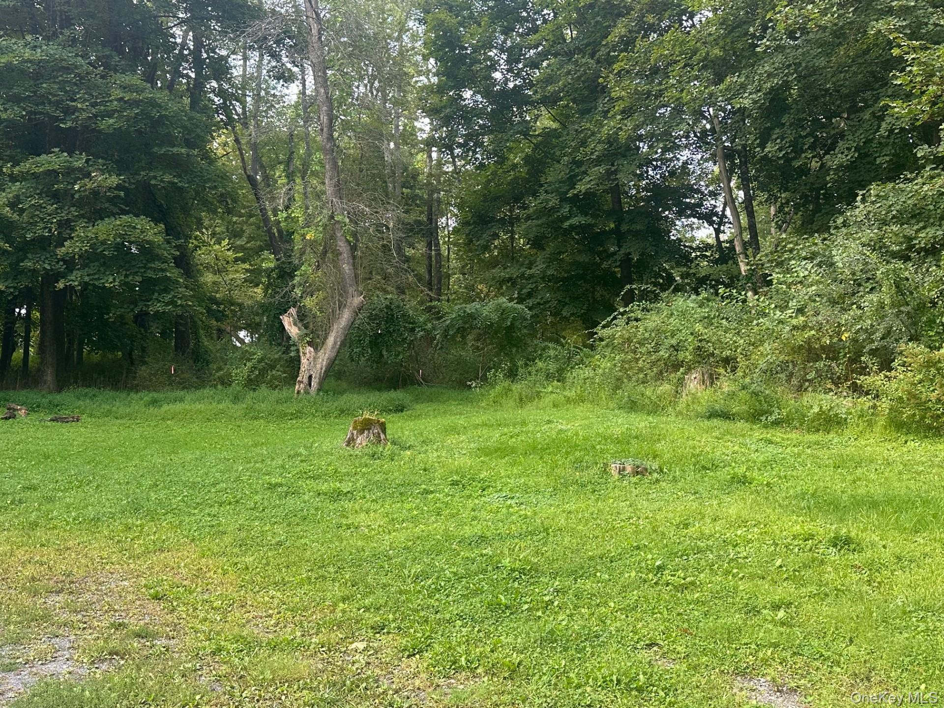 706 Beekman Road, Hopewell Junction, NY 12533