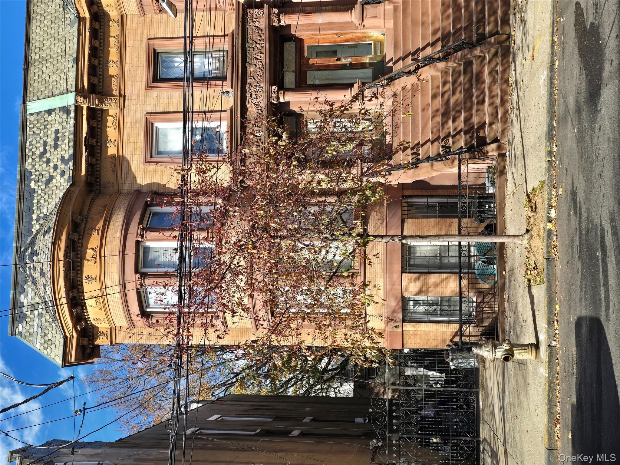 767 Beck Street, Bronx, NY 10455