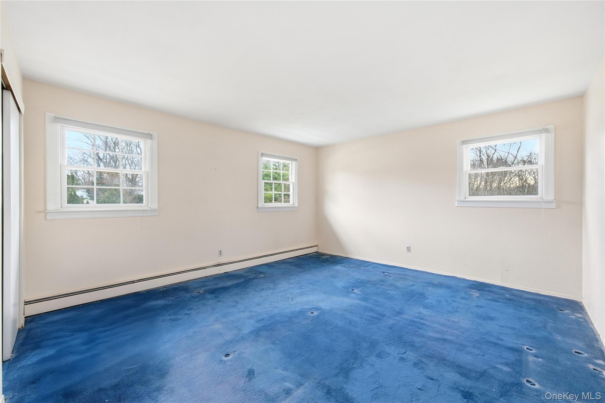 16 Pantzer Street, Smithtown, NY 11787