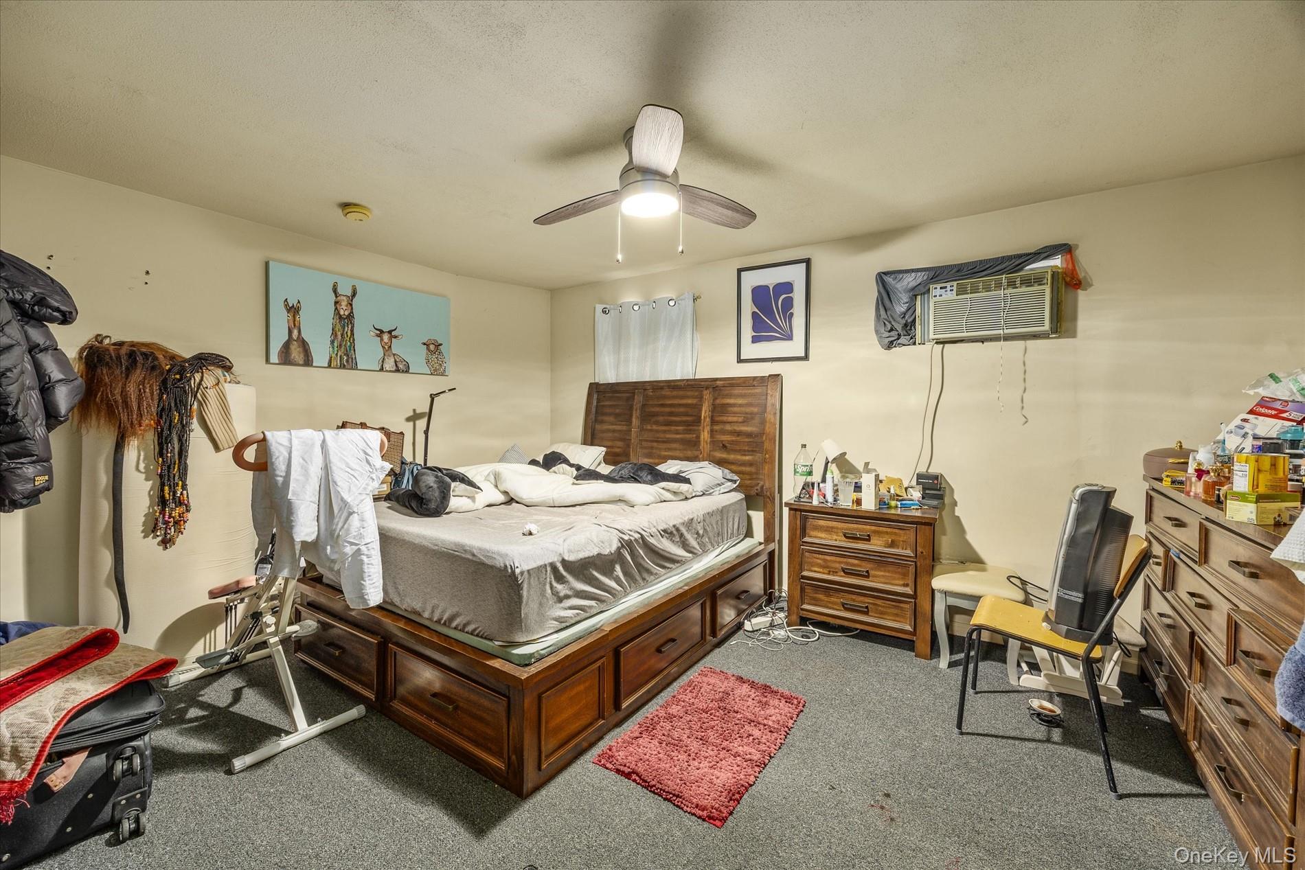 657 E 102nd Street, Brooklyn, NY 11236