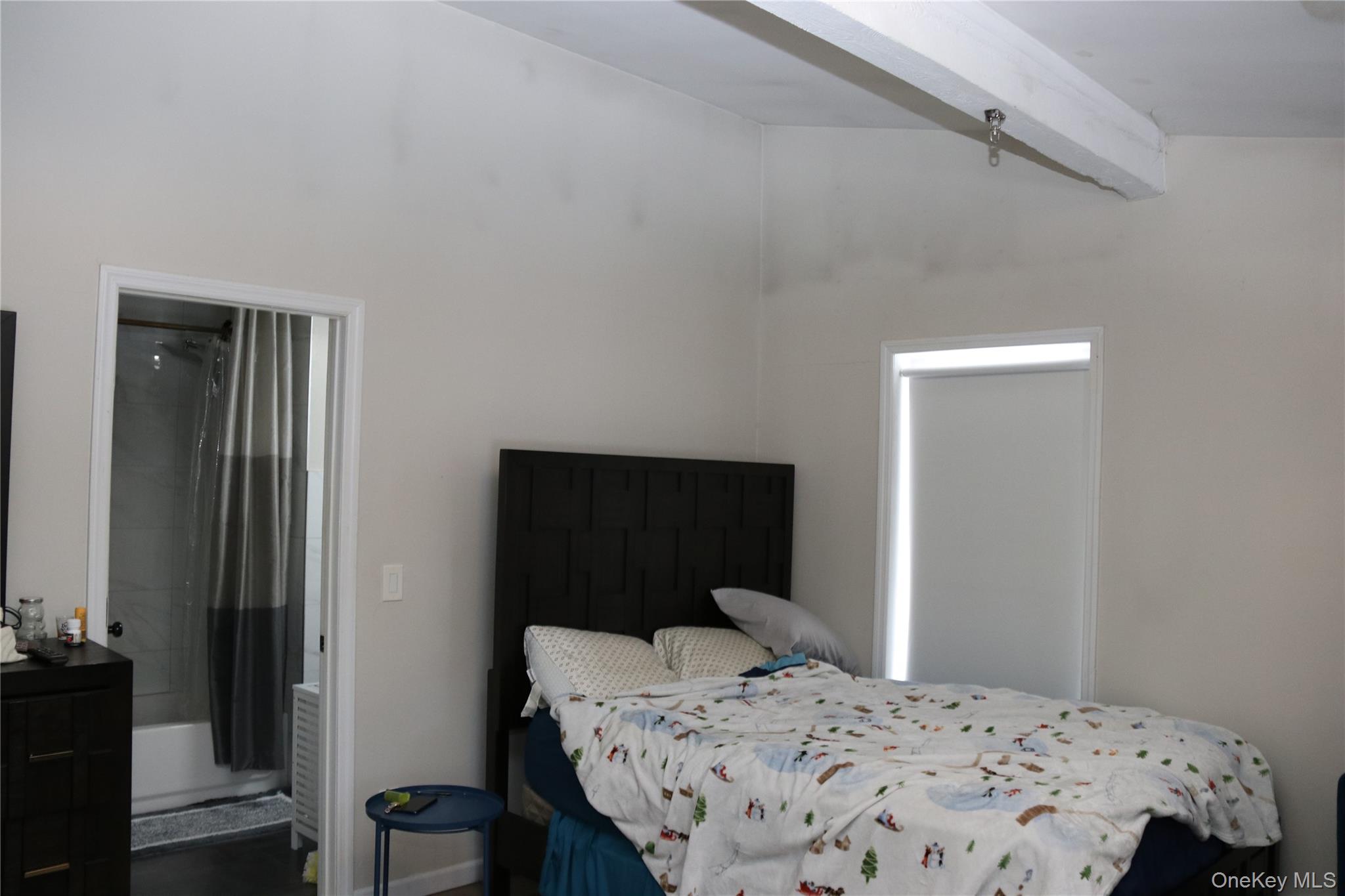 741 Peenpack Trail, Sparrowbush, NY 12780