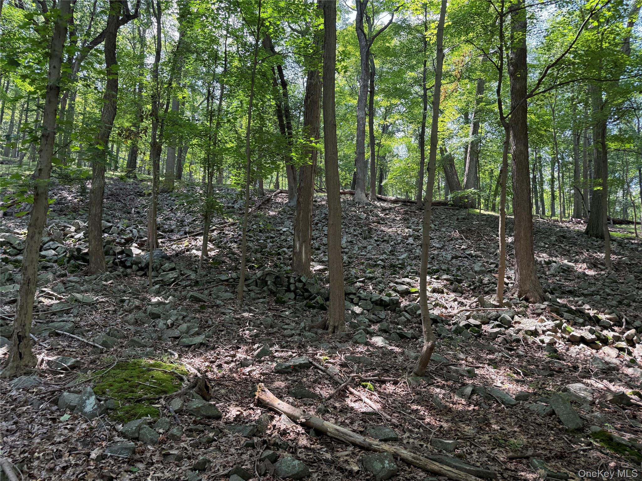 660 Route 9W, Valley Cottage, NY 10989