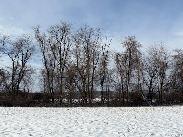 maizeland road, LOT 1B, Red Hook, NY 12571