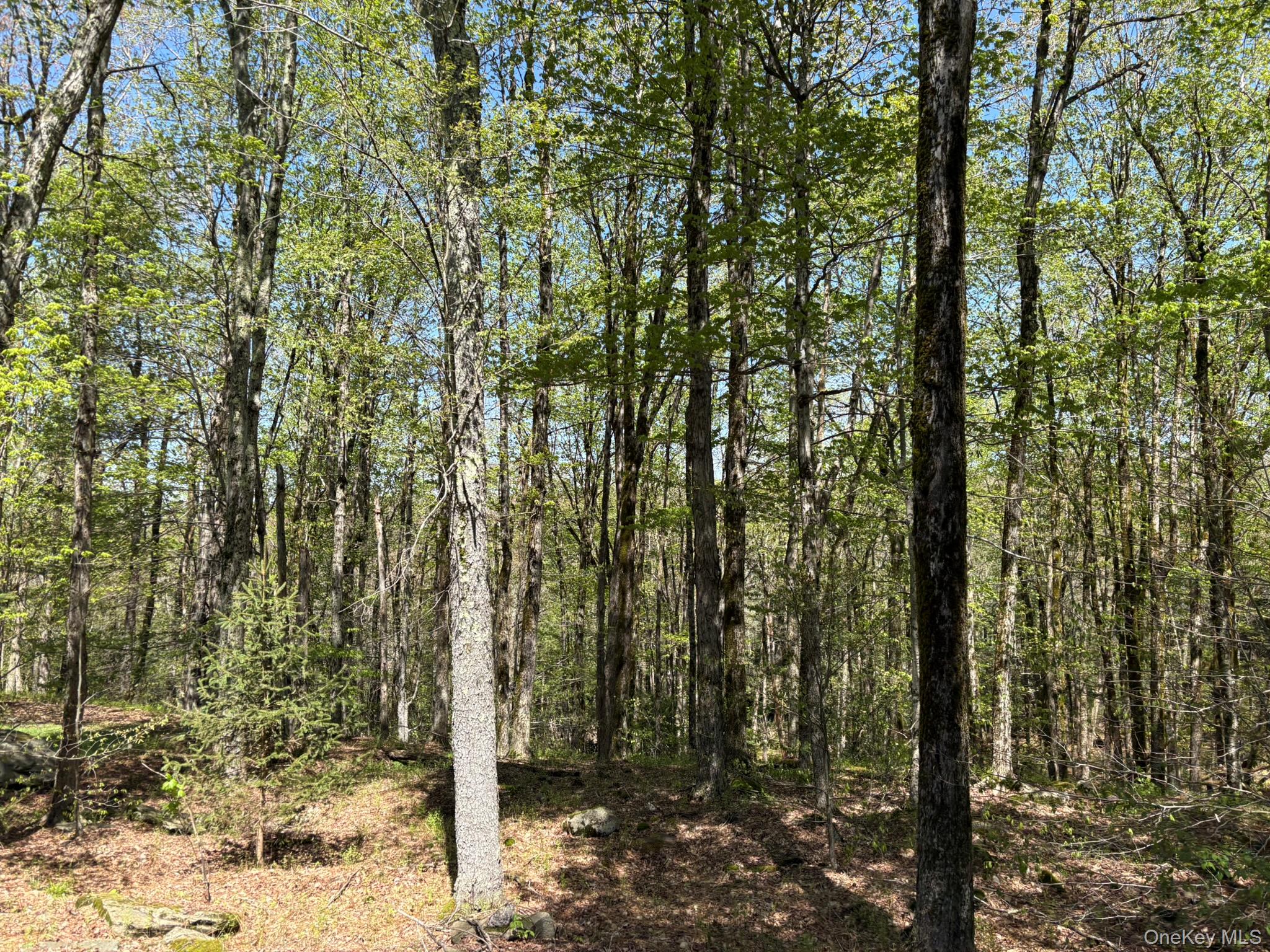 County Hwy 7, Roscoe, NY 12776