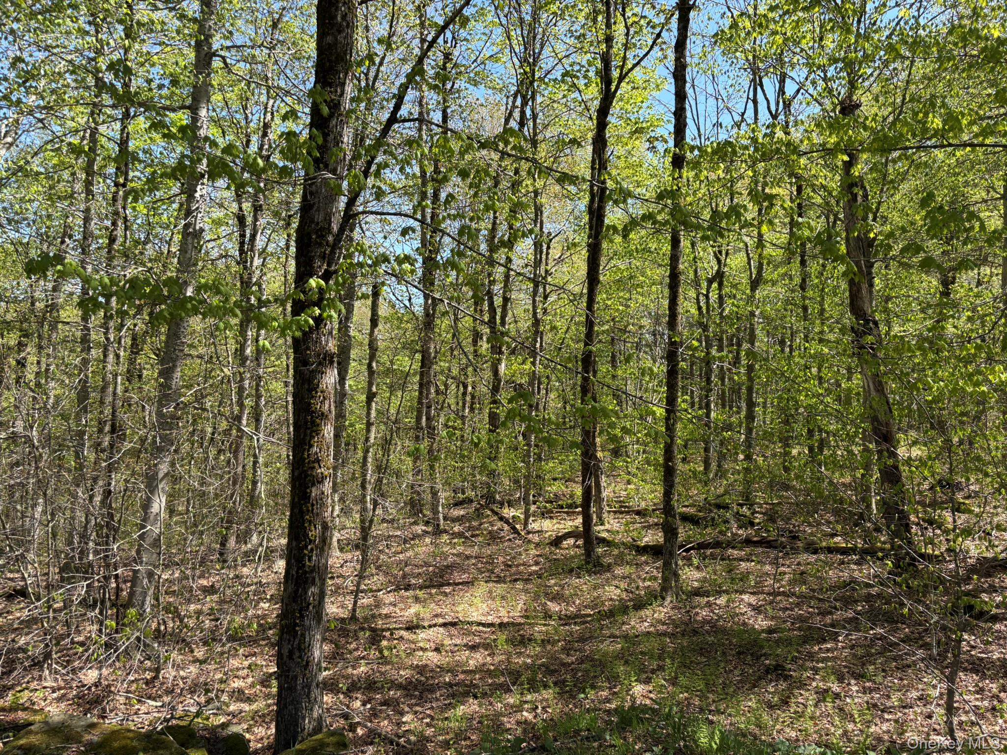 County Hwy 7, Roscoe, NY 12776