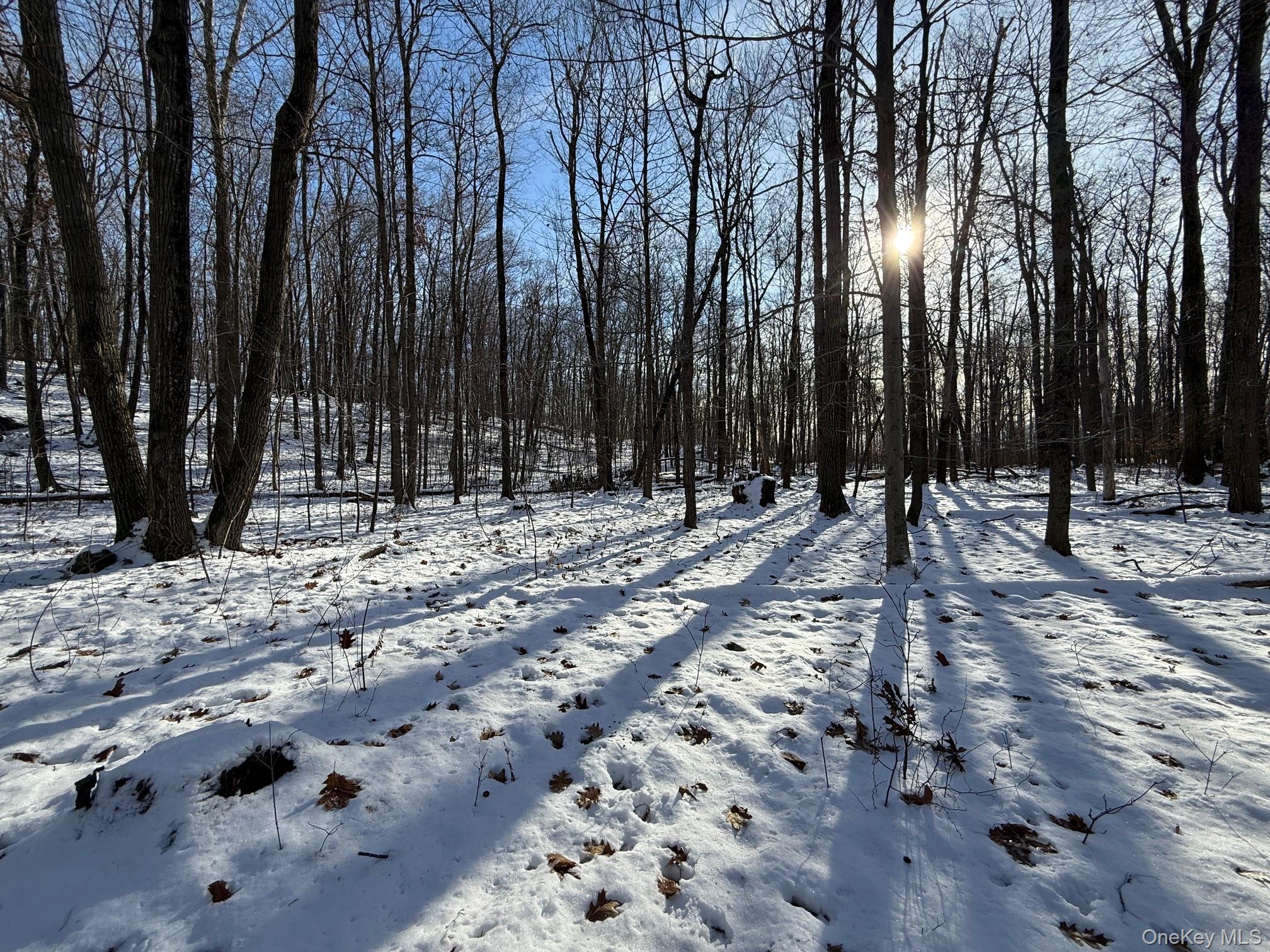 124 Cooper, Millerton, NY 12546