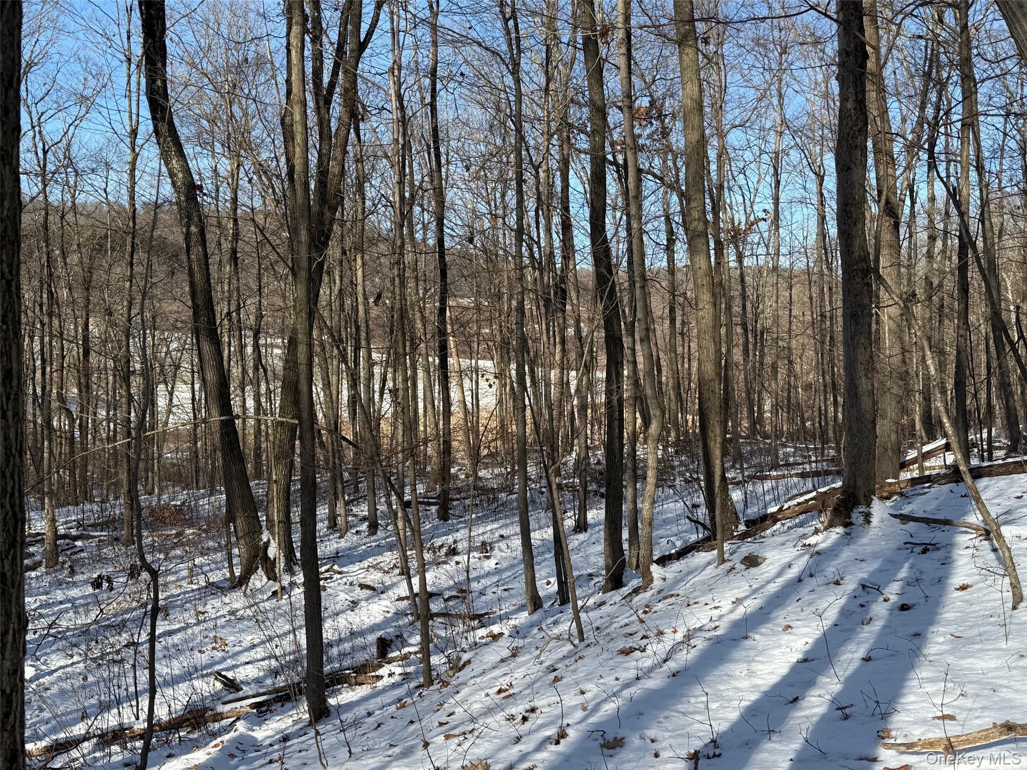 124 Cooper, Millerton, NY 12546