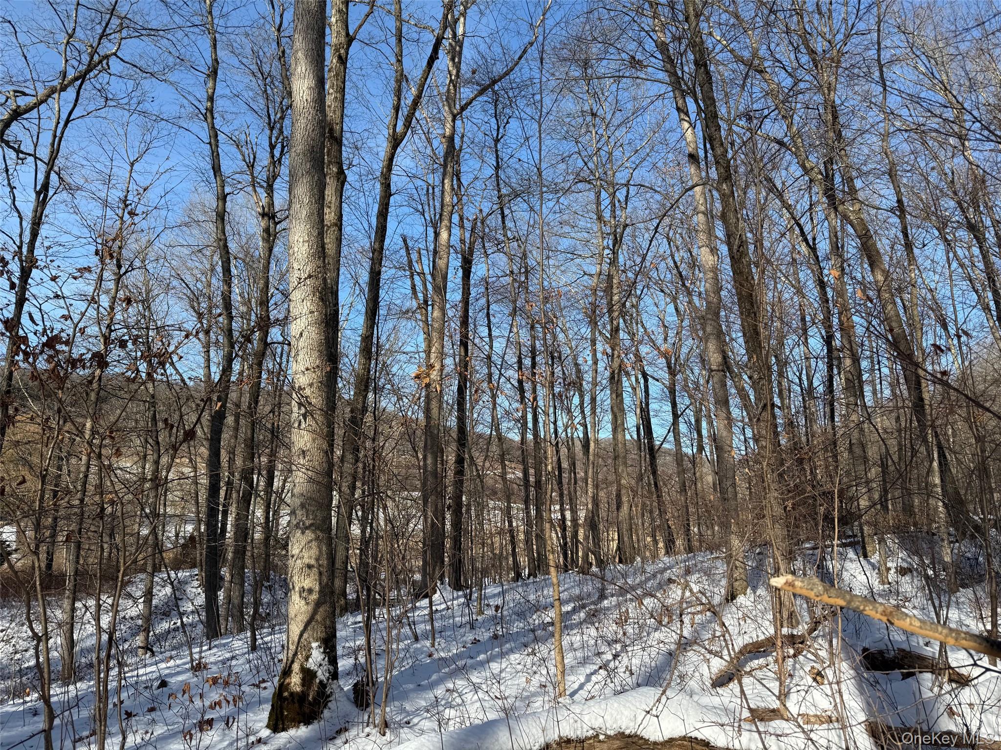 124 Cooper, Millerton, NY 12546