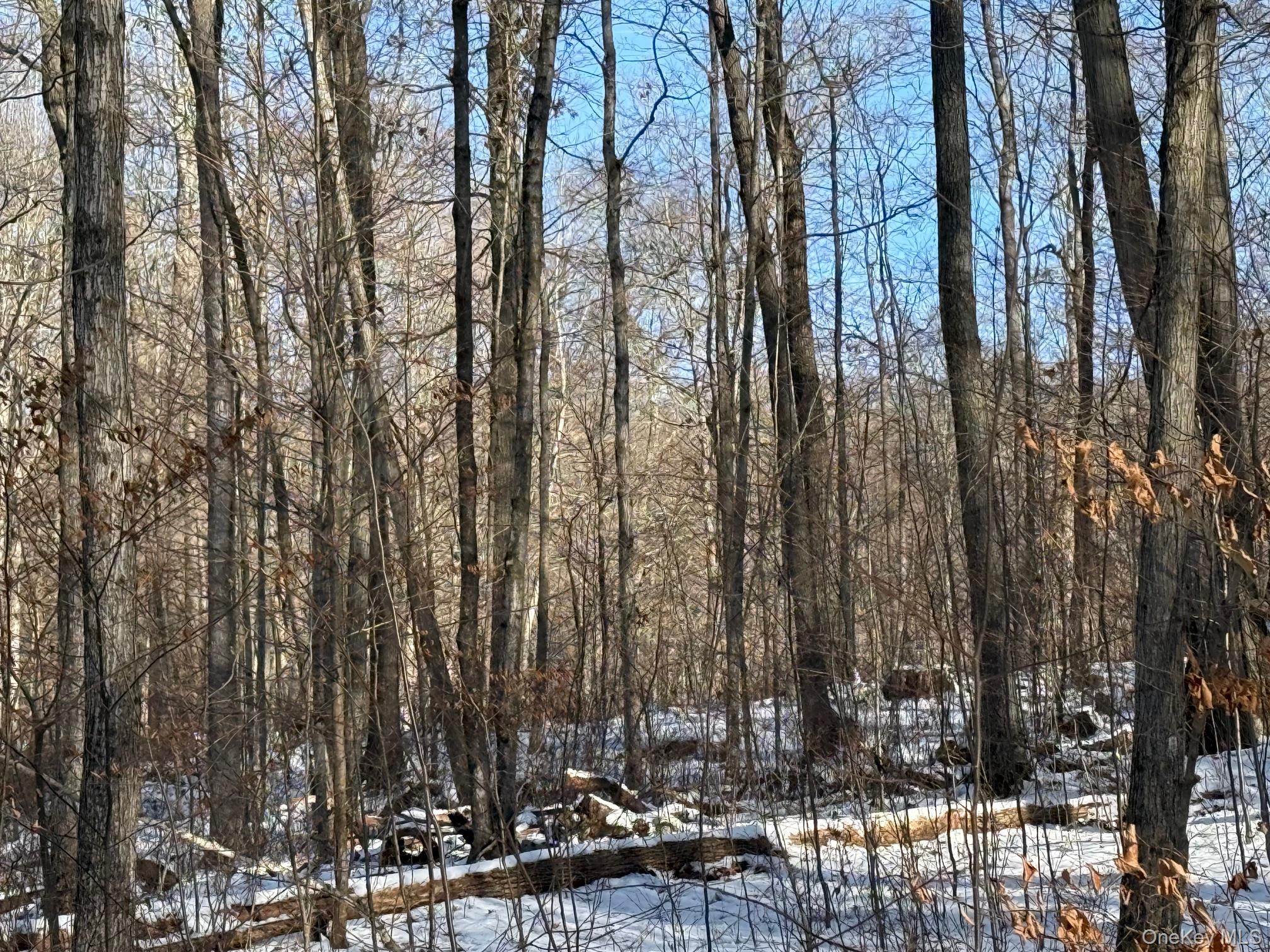 124 Cooper, Millerton, NY 12546