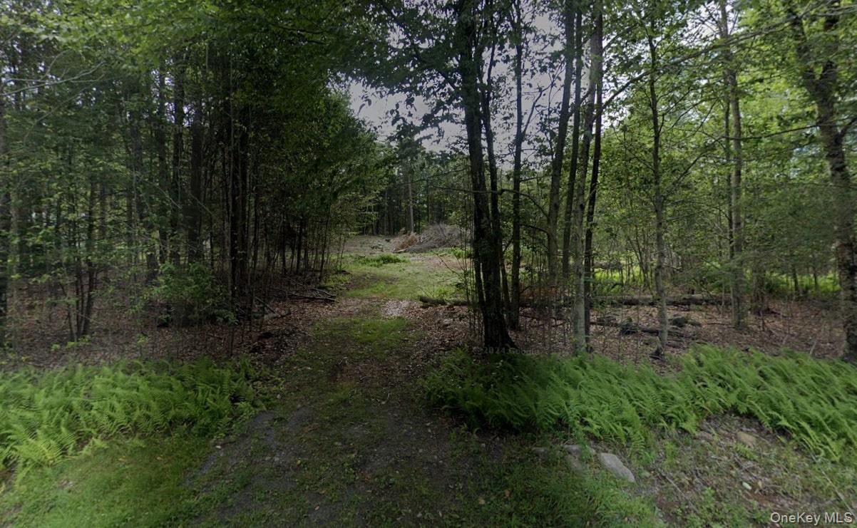 TBD Drake Road, Neversink, NY 12765