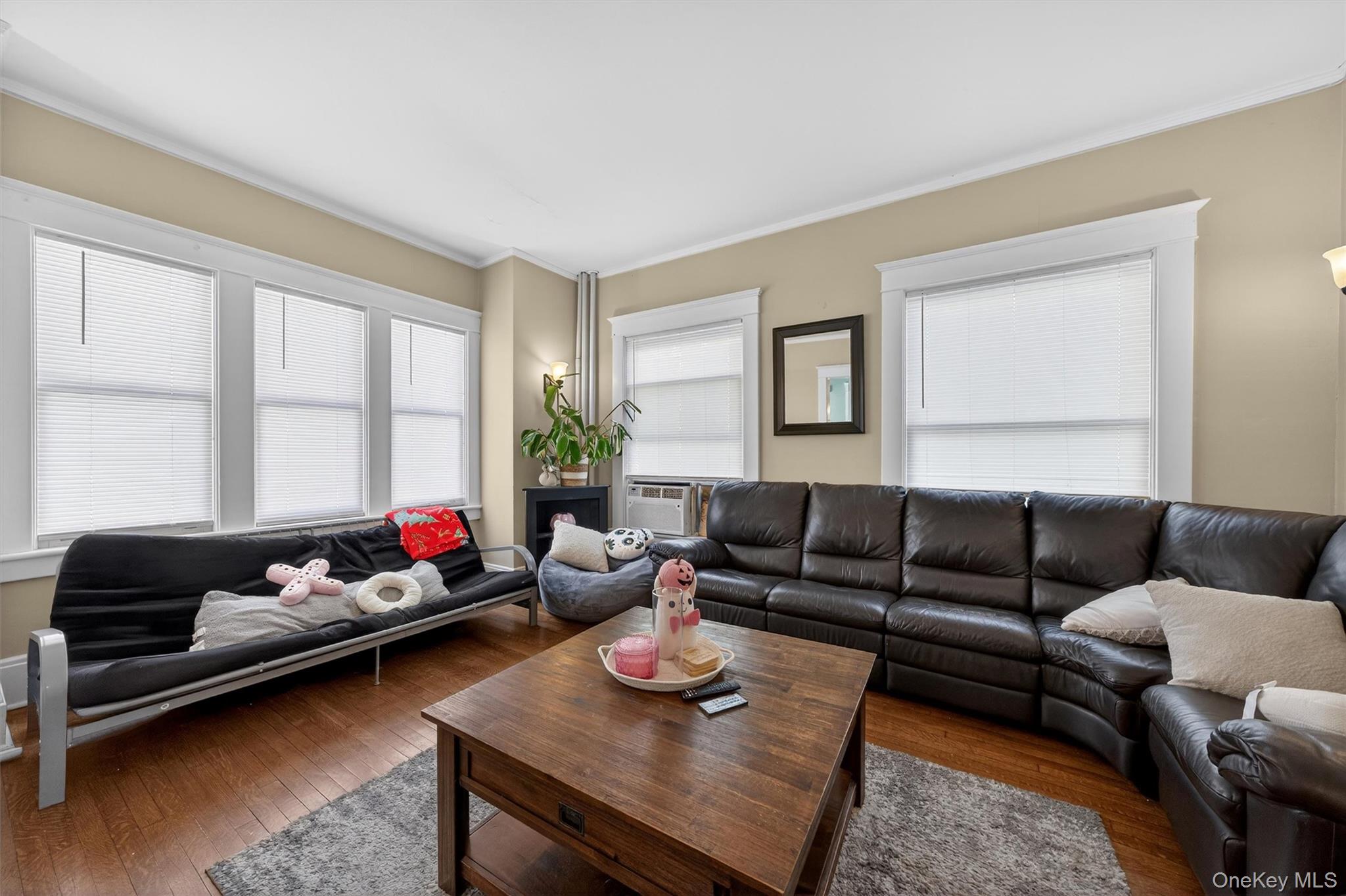 19 Leroy Place, Newburgh, NY 12550