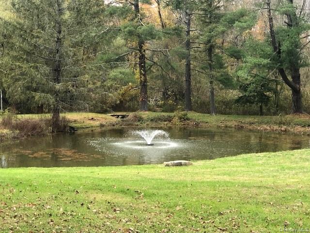 20 Abbeyfield Lane, Brewster, NY 10509