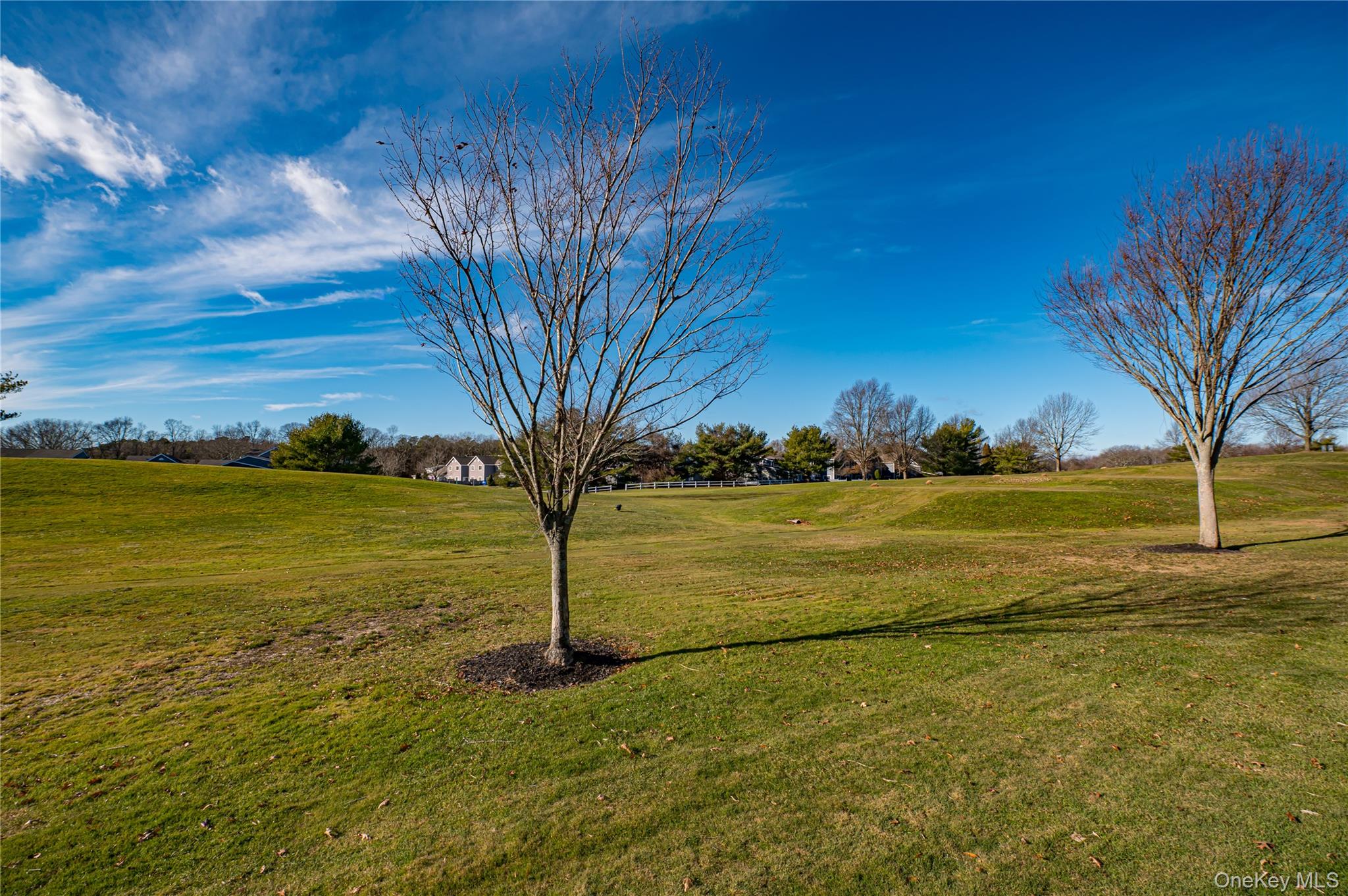 757 Spring Lake Drive, Middle Island, NY 11953