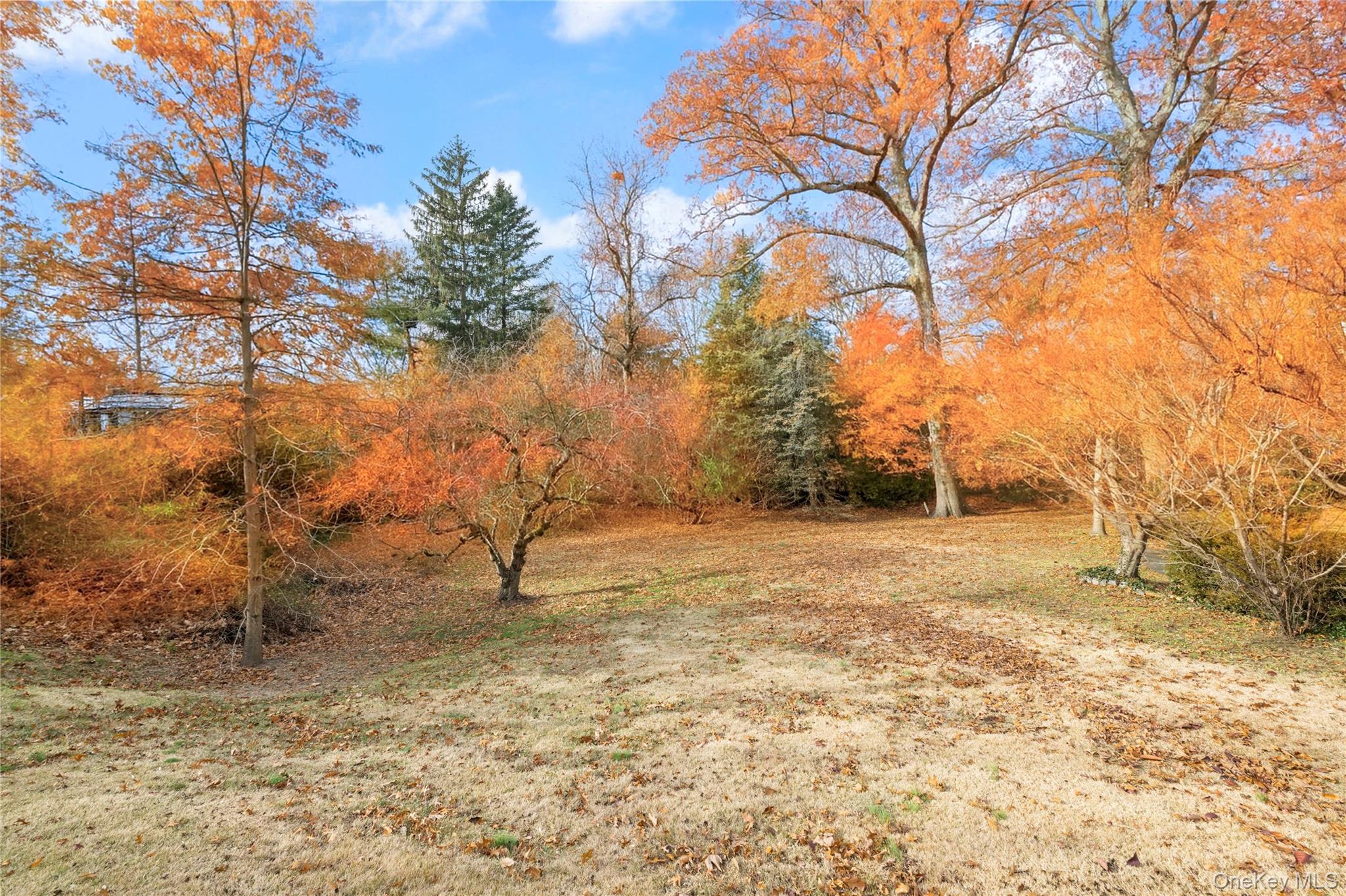 Ladd Road, Bronx, NY 10471