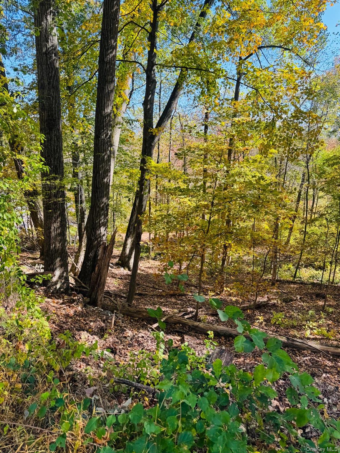 LOT 11 Shamrock Drive, Mahopac, NY 10579