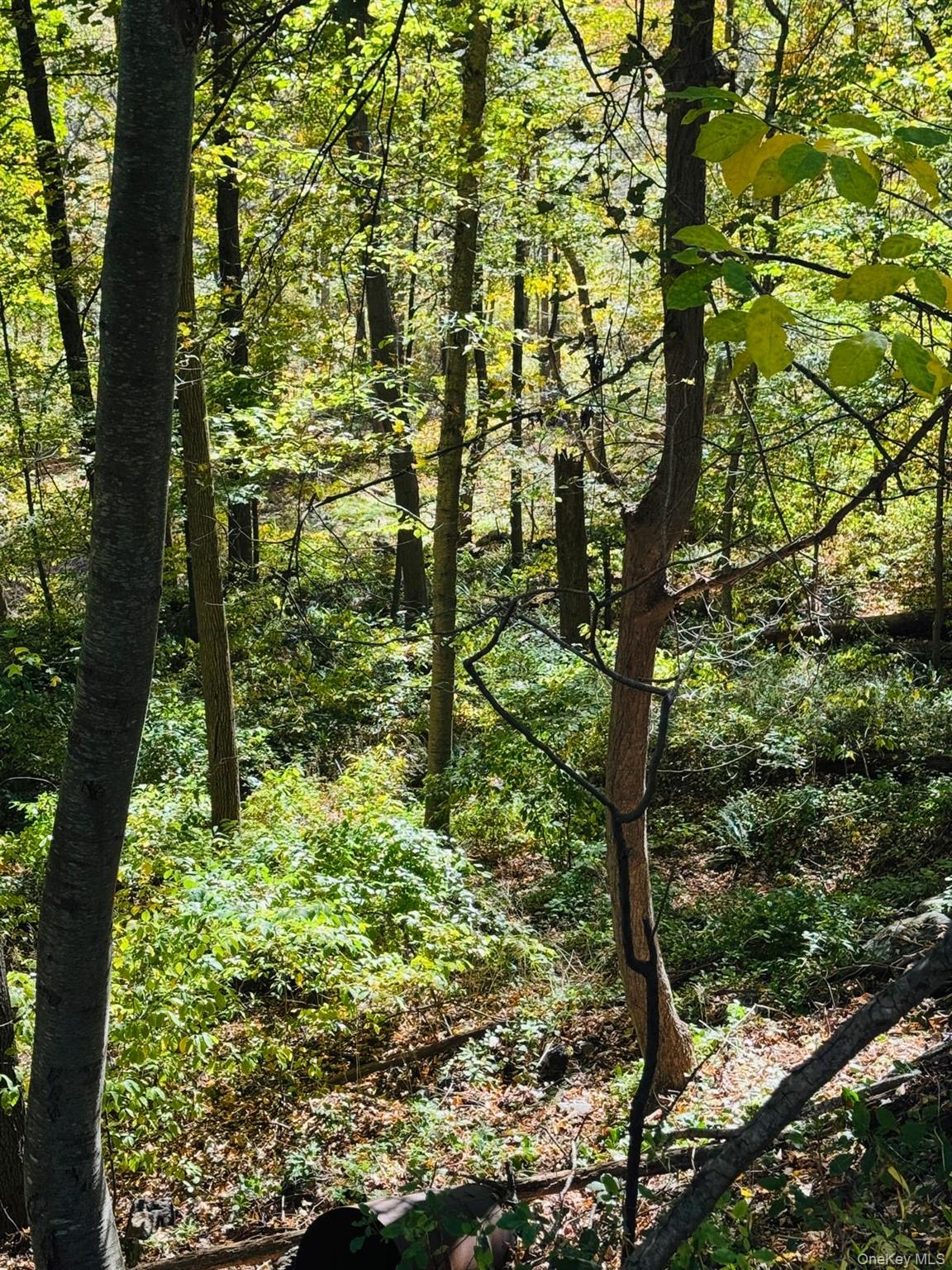 LOT 11 Shamrock Drive, Putnam Valley, NY 10579