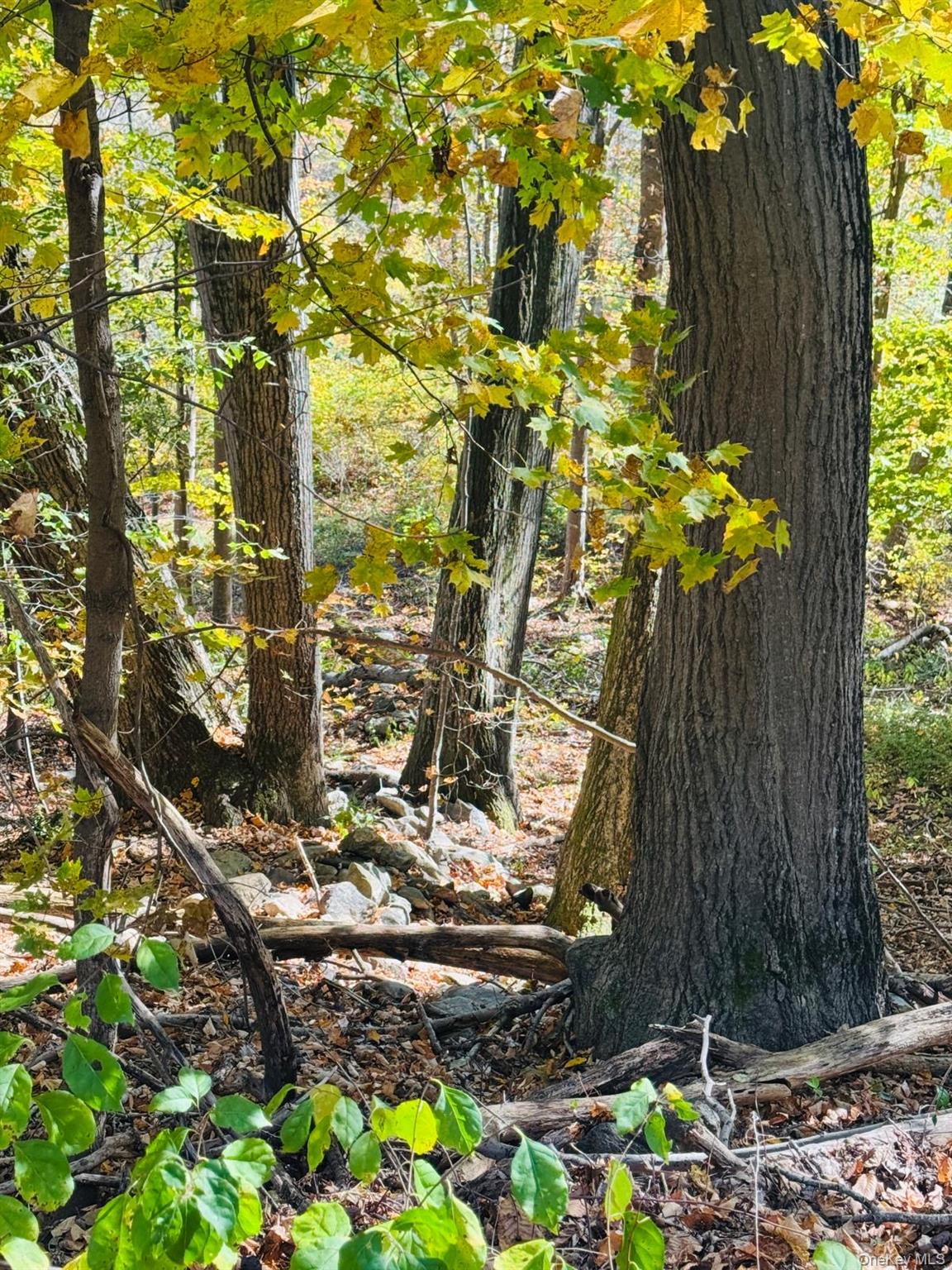 LOT 11 Shamrock Drive, Putnam Valley, NY 10579