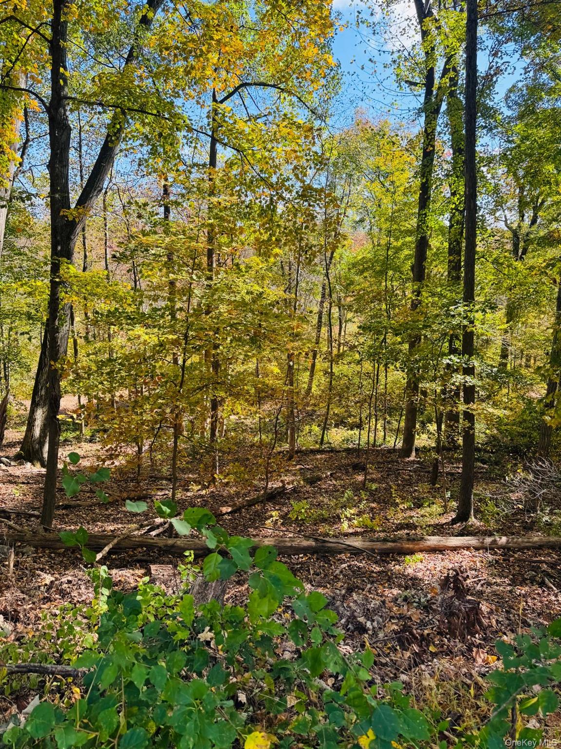 LOT 11 Shamrock Drive, Putnam Valley, NY 10579