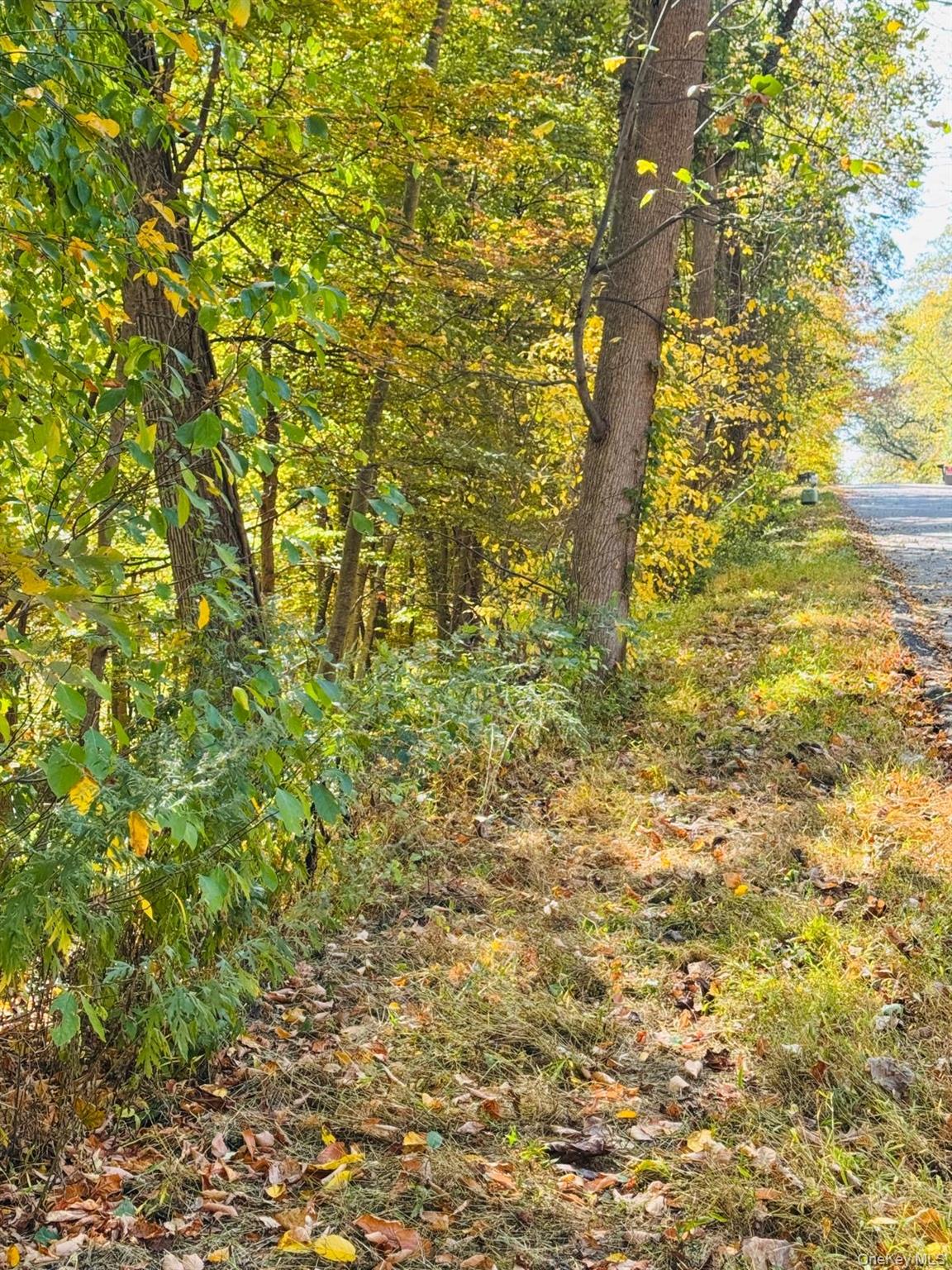 LOT 11 Shamrock Drive, Mahopac, NY 10579