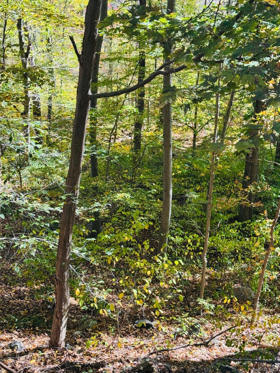 LOT 11 Shamrock Drive, Putnam Valley, NY 10579