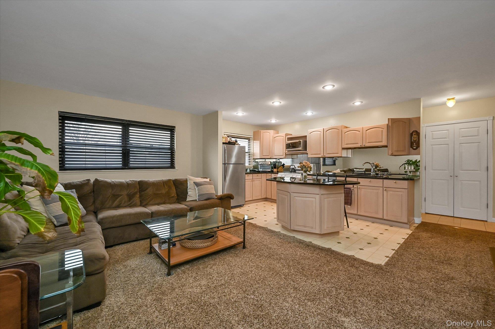 25 Elizabeth Street # 2F, Farmingdale, NY 11735