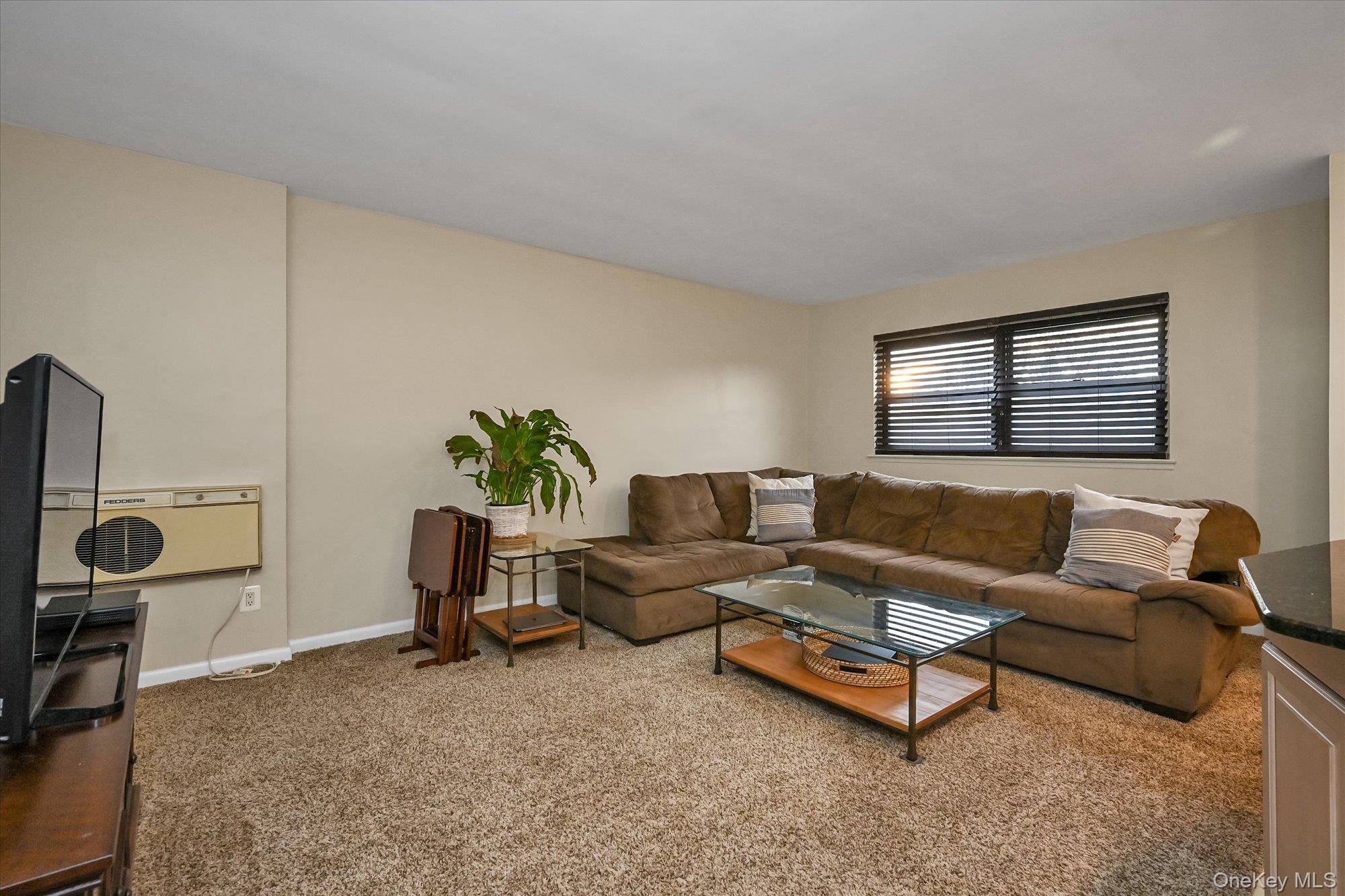 25 Elizabeth Street # 2F, Farmingdale, NY 11735