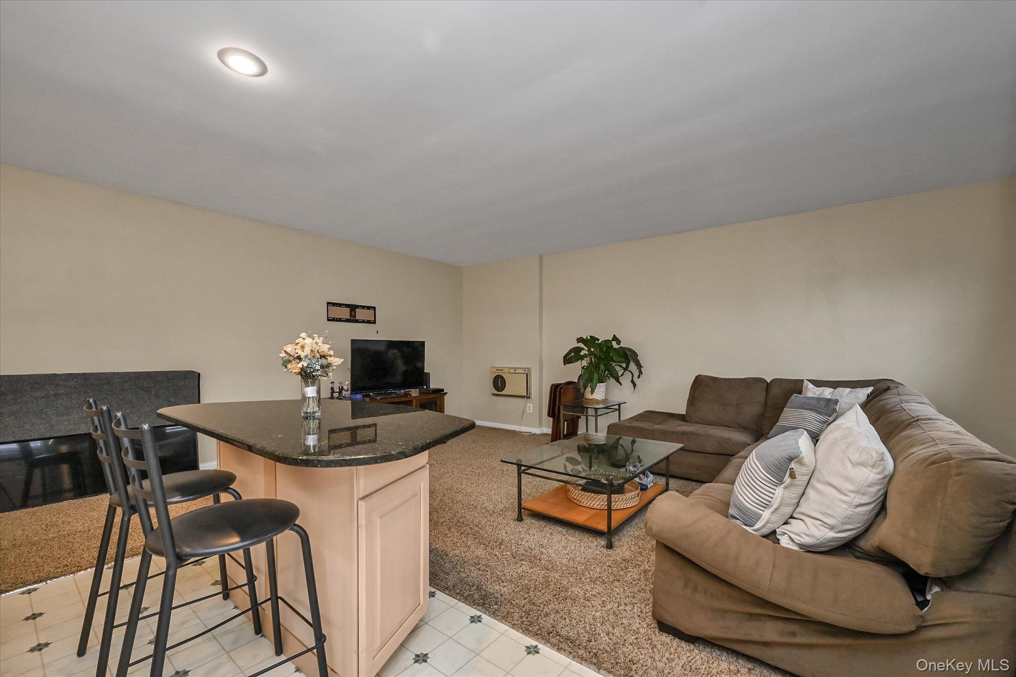 25 Elizabeth Street # 2F, Farmingdale, NY 11735