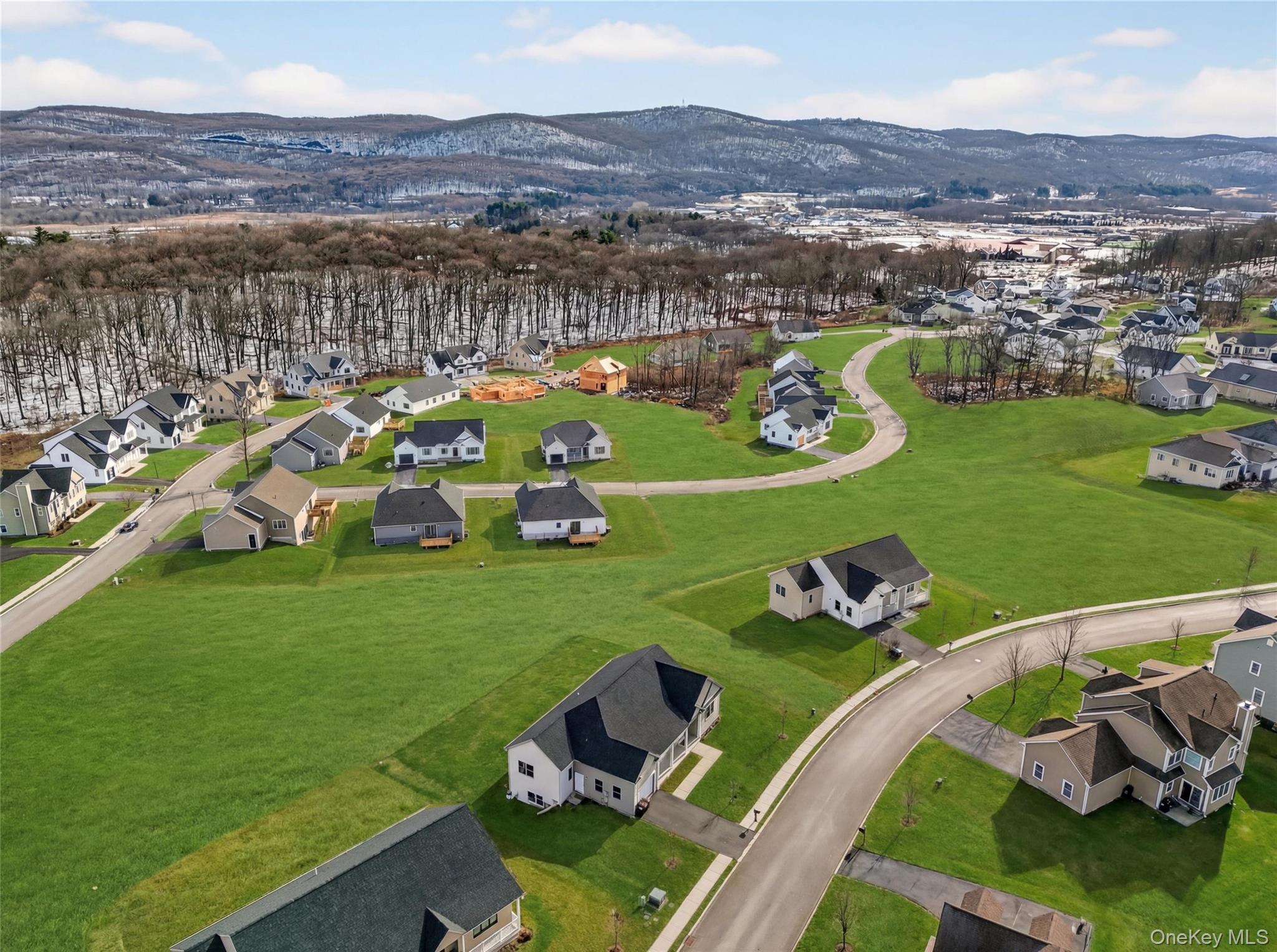 22 Lionel Passage, Monroe, NY 10950