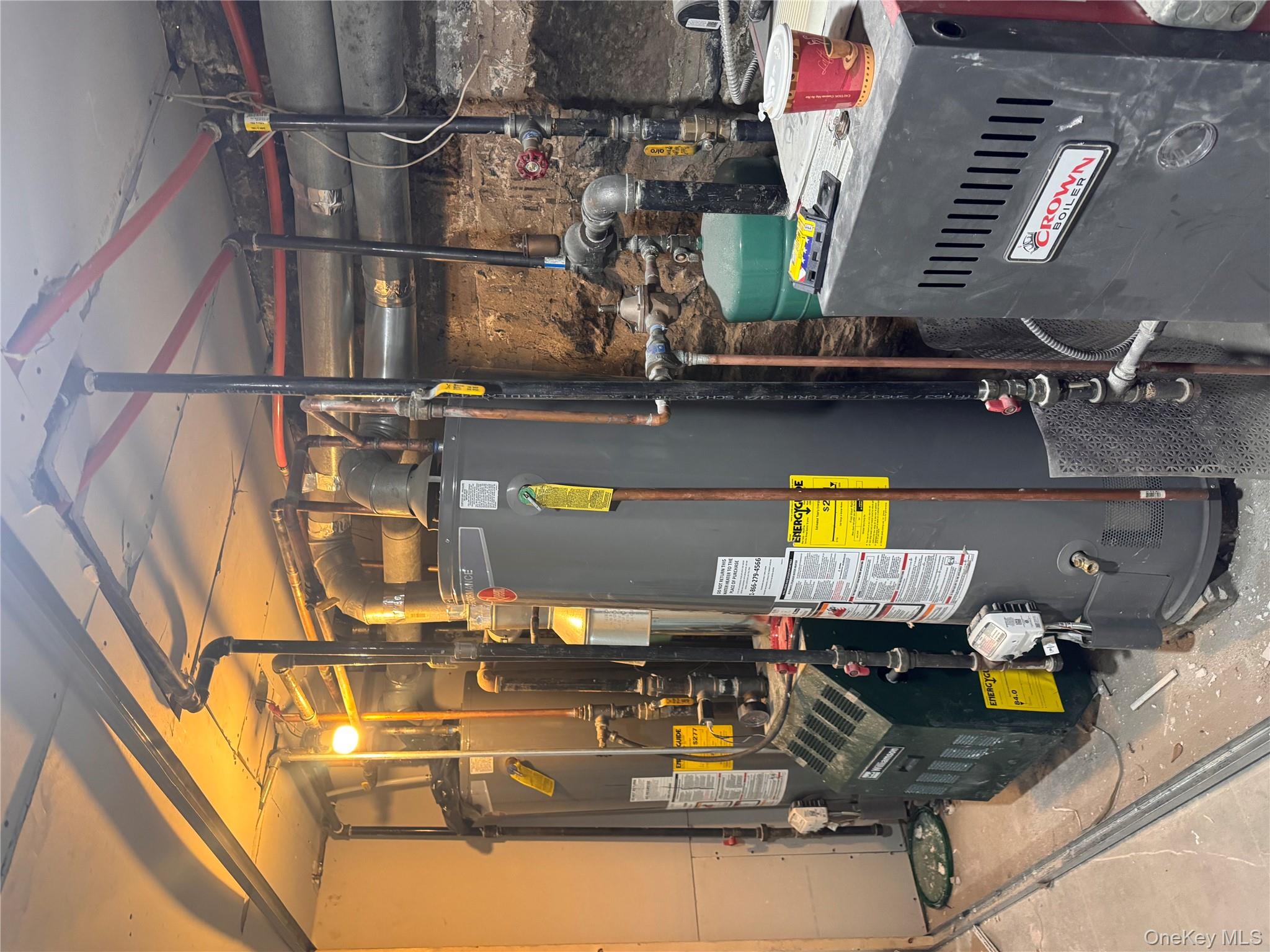 433 Jerome Street, Brooklyn, NY 11207