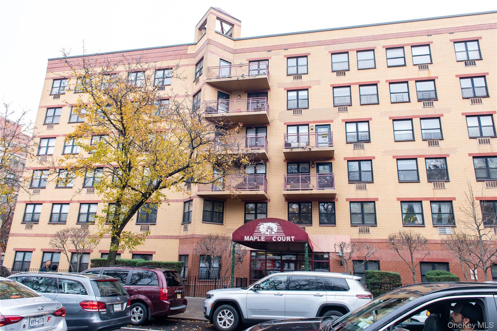 1901 Madison Avenue # 301, New York (Manhattan), NY 10035