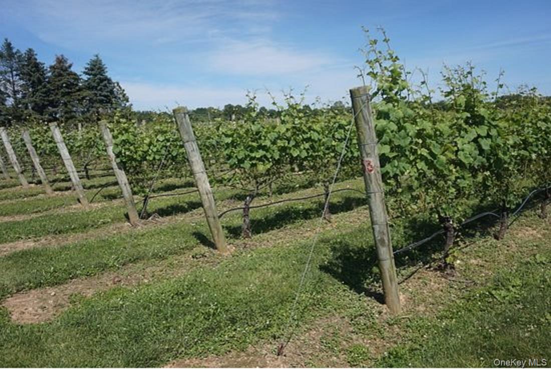 470 Goose Creek Lane, Southold, NY 11971