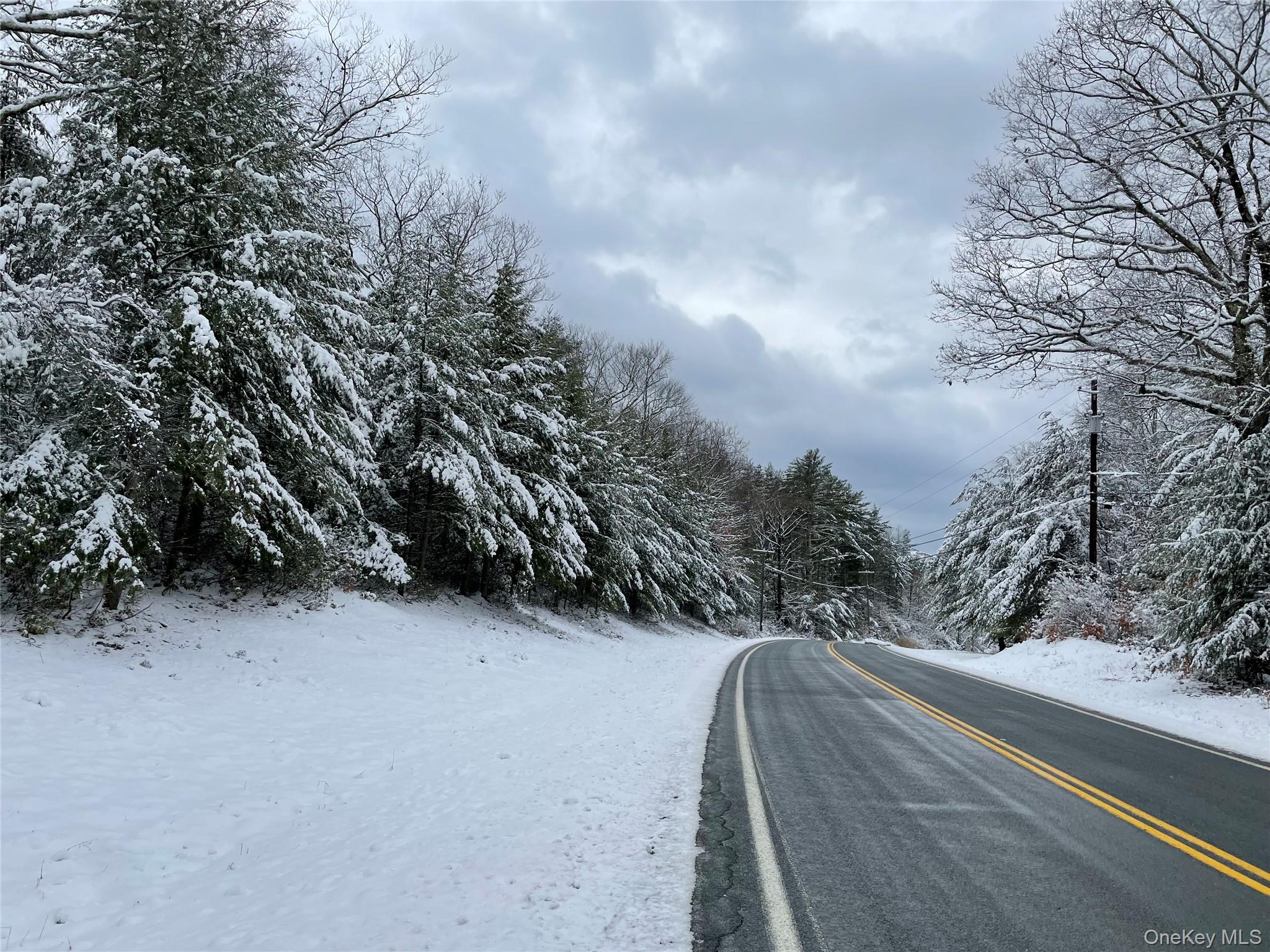 1315 Sackett Lake Rd, Forestburgh, NY 12777