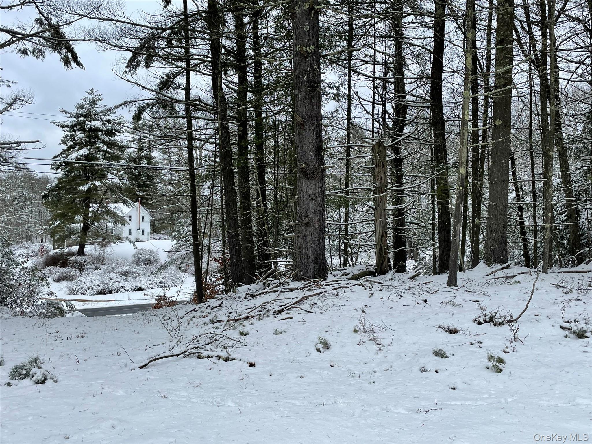 1315 Sackett Lake Rd, Forestburgh, NY 12777