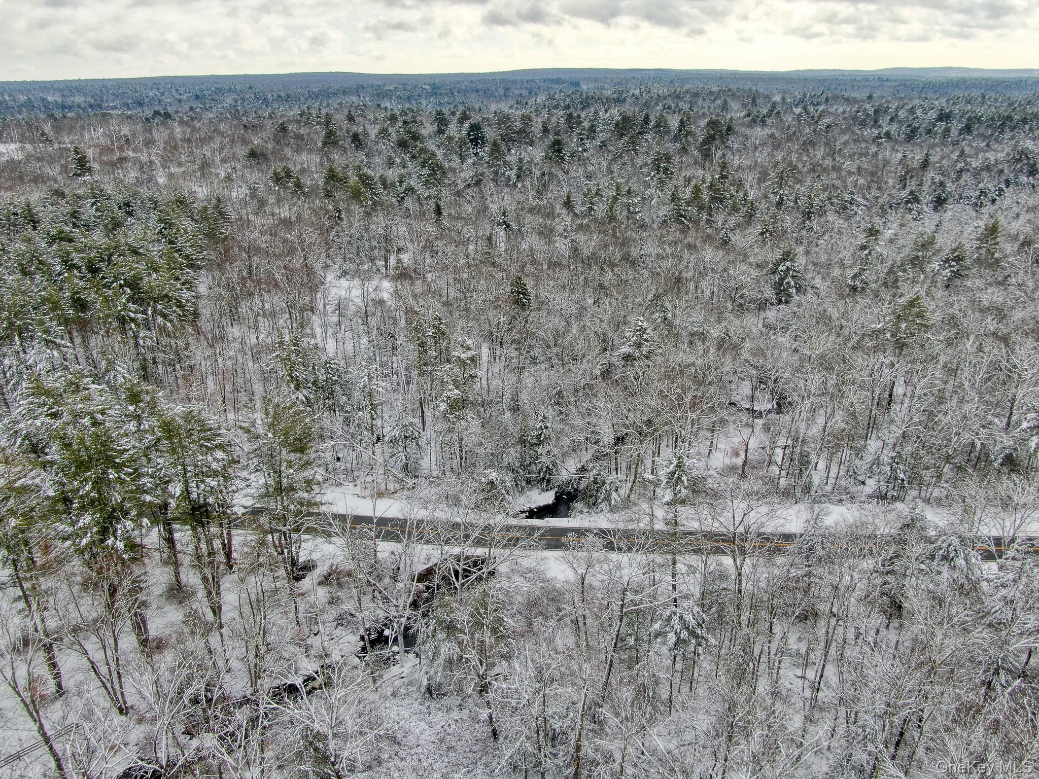 1315 Sackett Lake Rd, Forestburgh, NY 12777