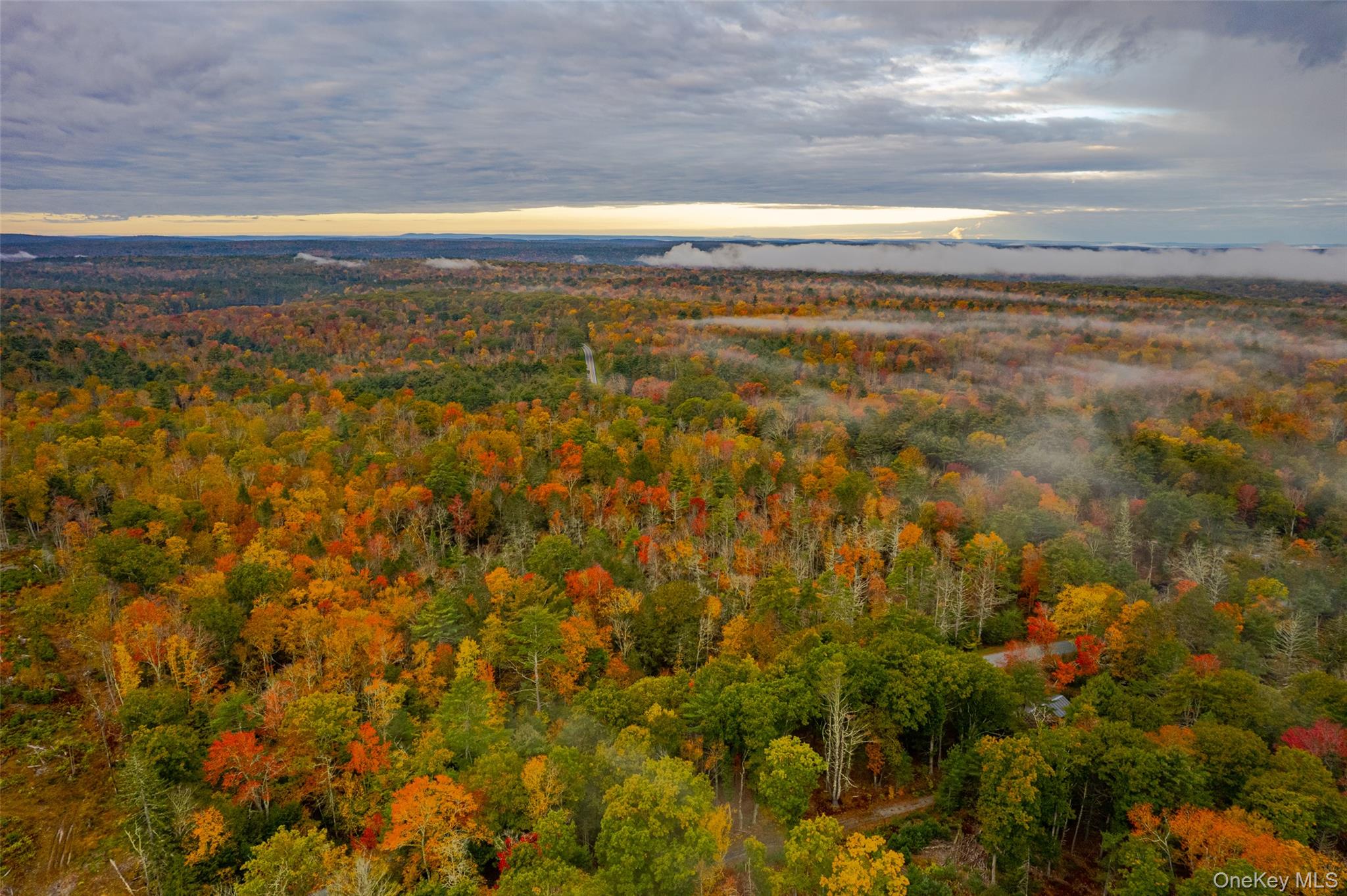 1315 Sackett Lake Rd, Forestburgh, NY 12777