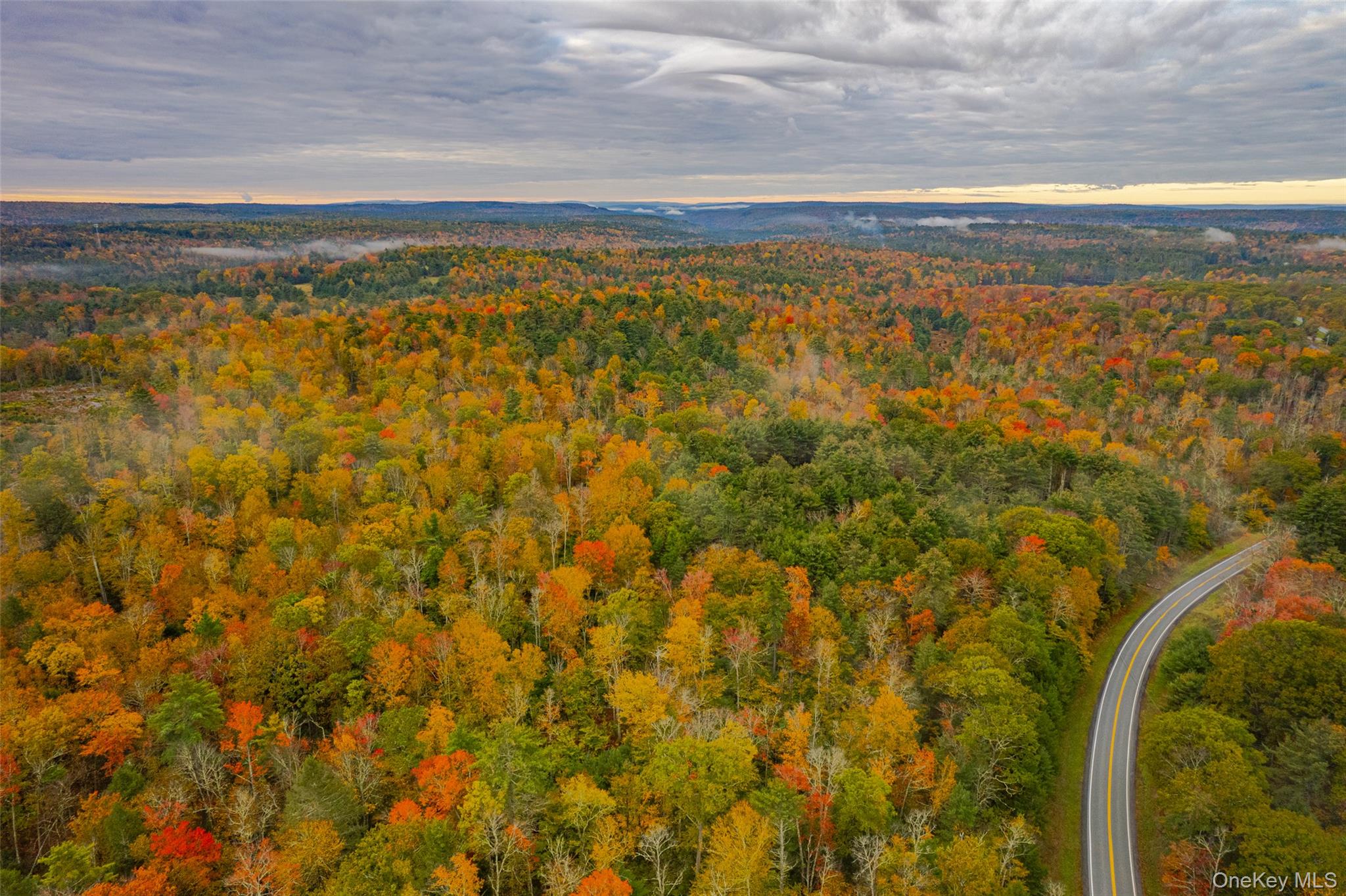 1315 Sackett Lake Rd, Forestburgh, NY 12777