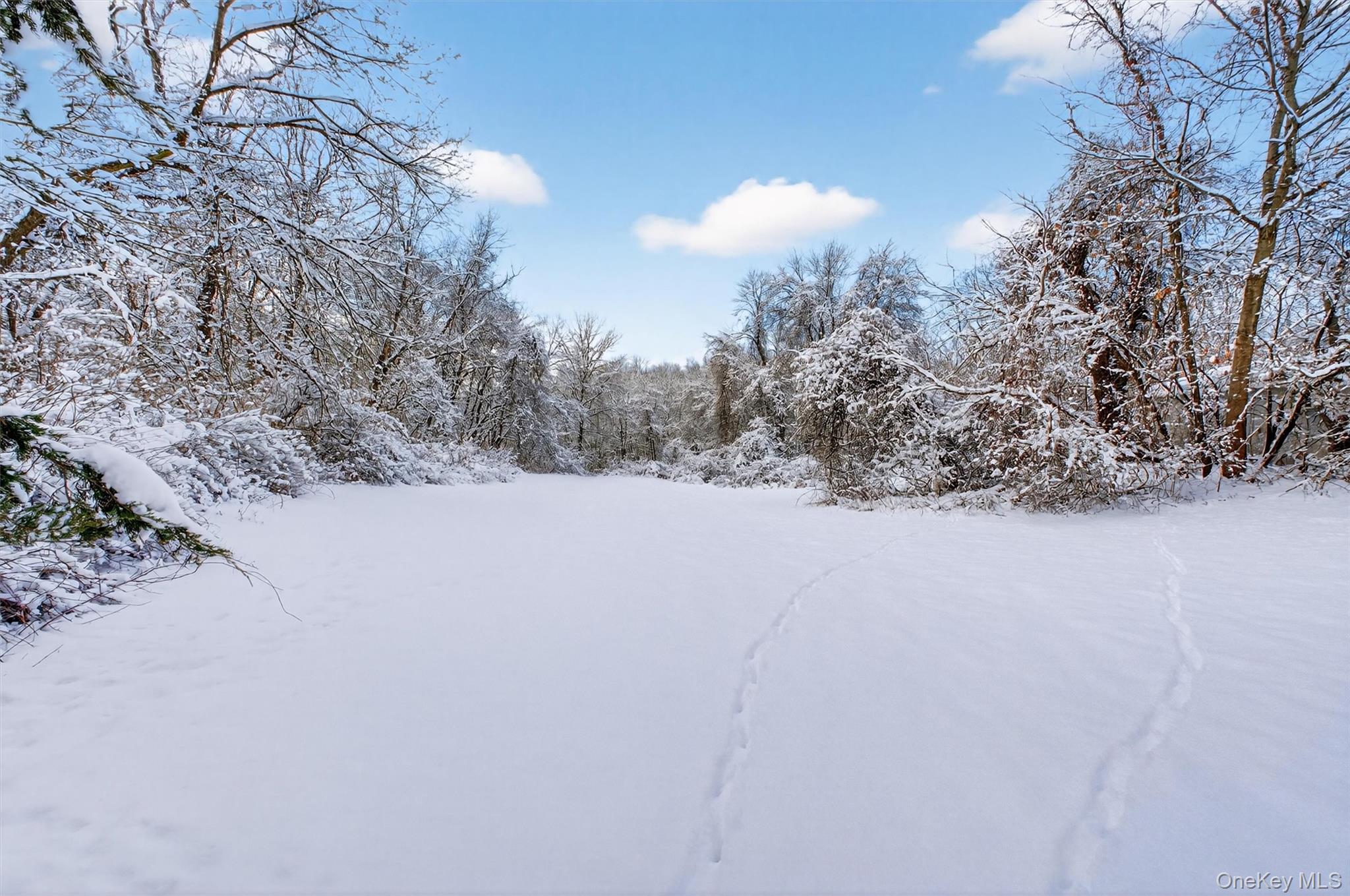 91 Clove Branch Road, Hopewell Junction, NY 12533