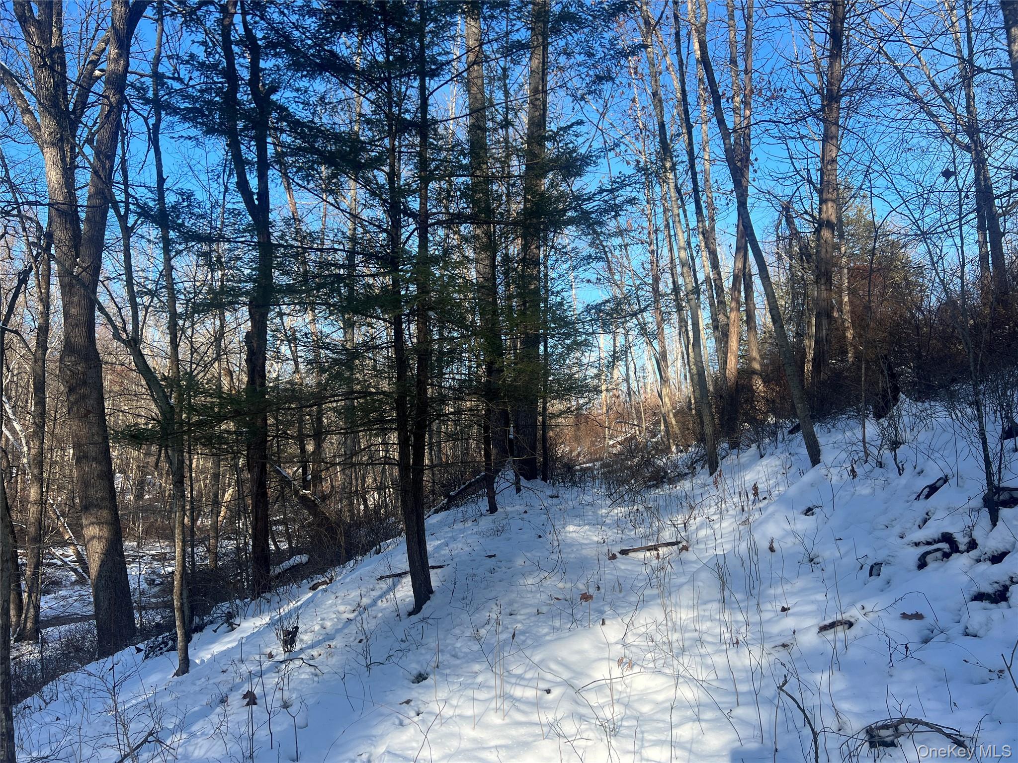 26 MossyBrook Road, High Falls, NY 12440