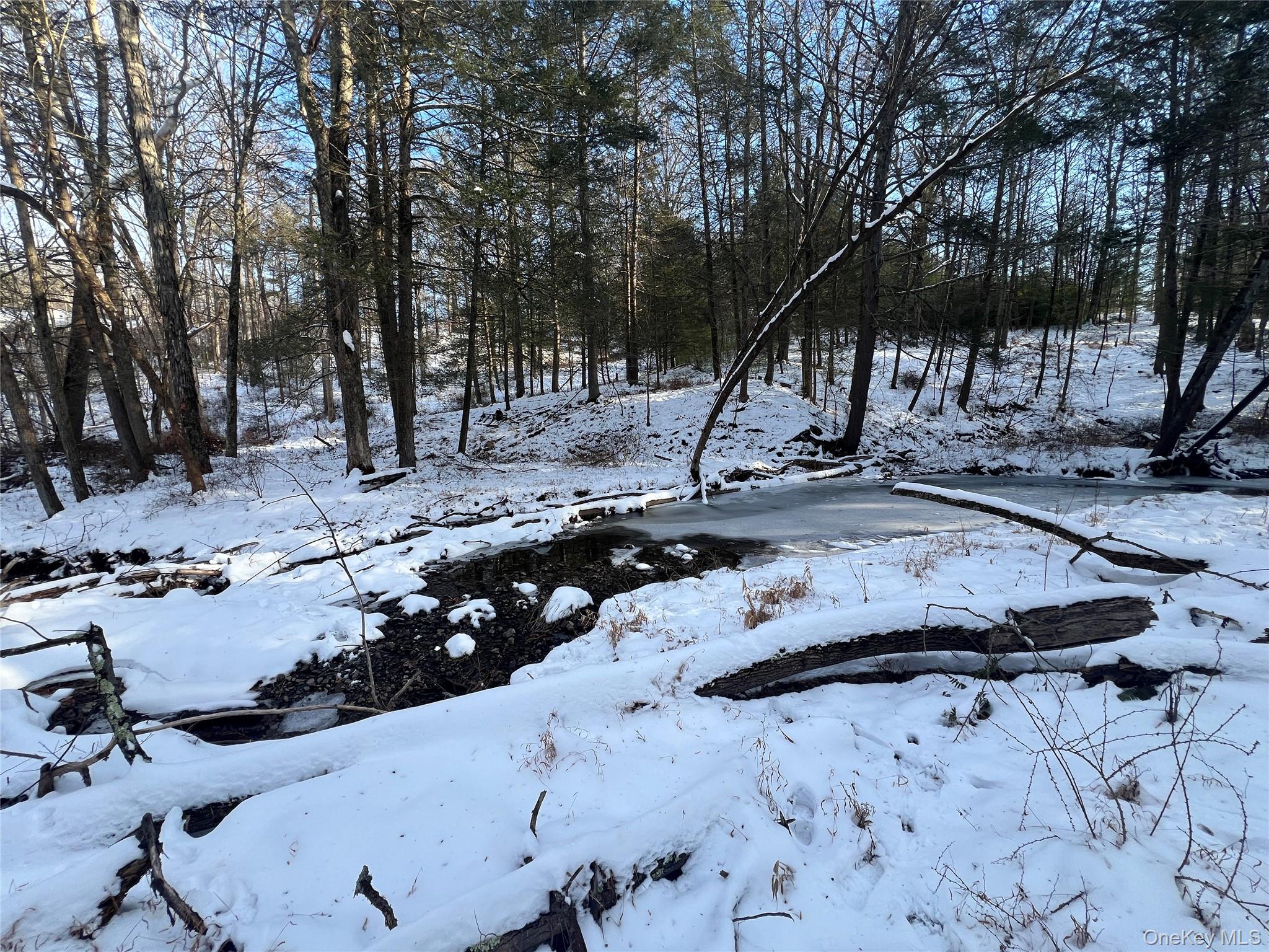 26 MossyBrook Road, High Falls, NY 12440