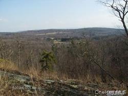 Greeley Road /Rte 27, Craryville, NY 12521